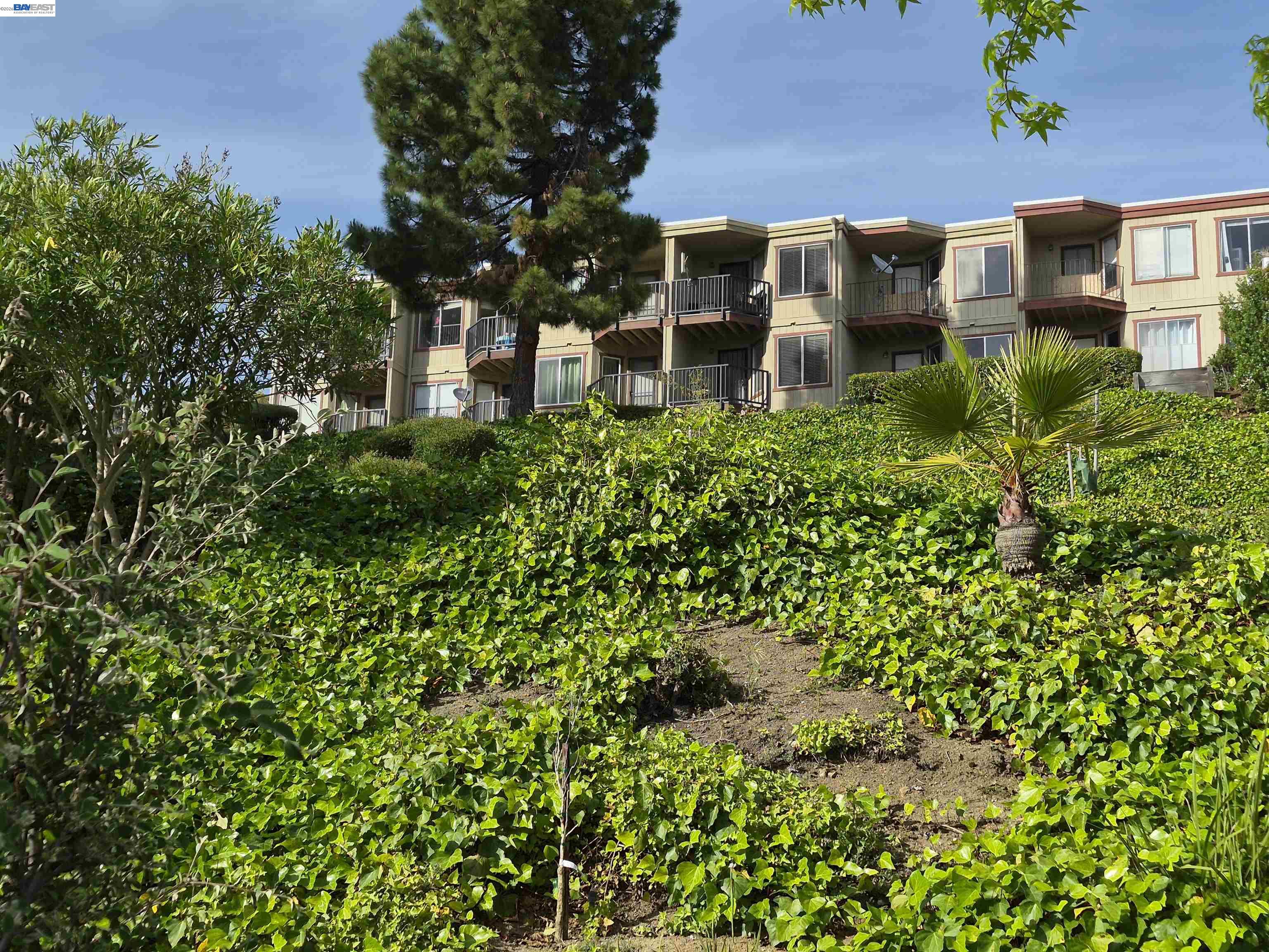 Photo #3: 41131604 Listing: Photo #3