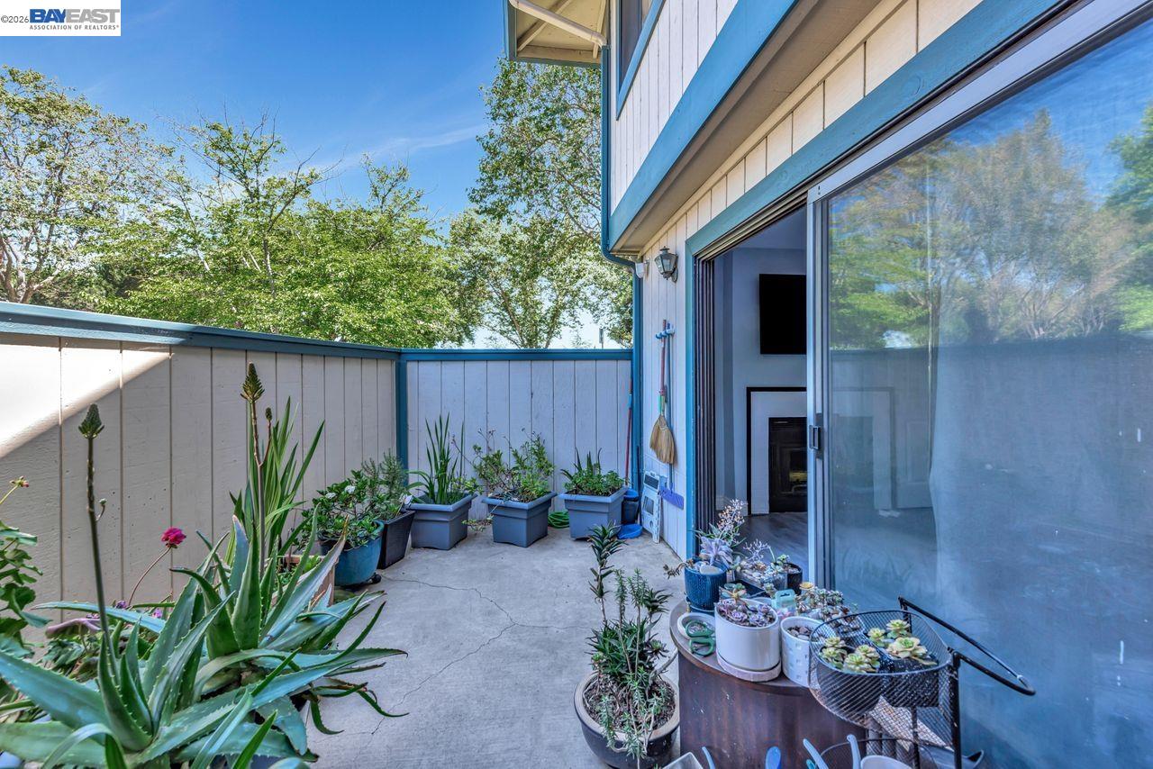 Photo #22: 41131611 Listing: Photo #22