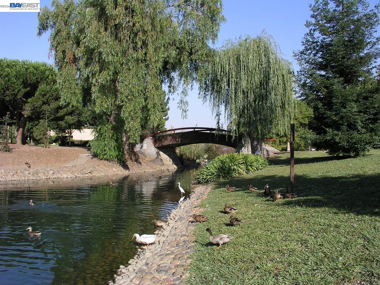 Photo #27: 41131611 Listing: Photo #27