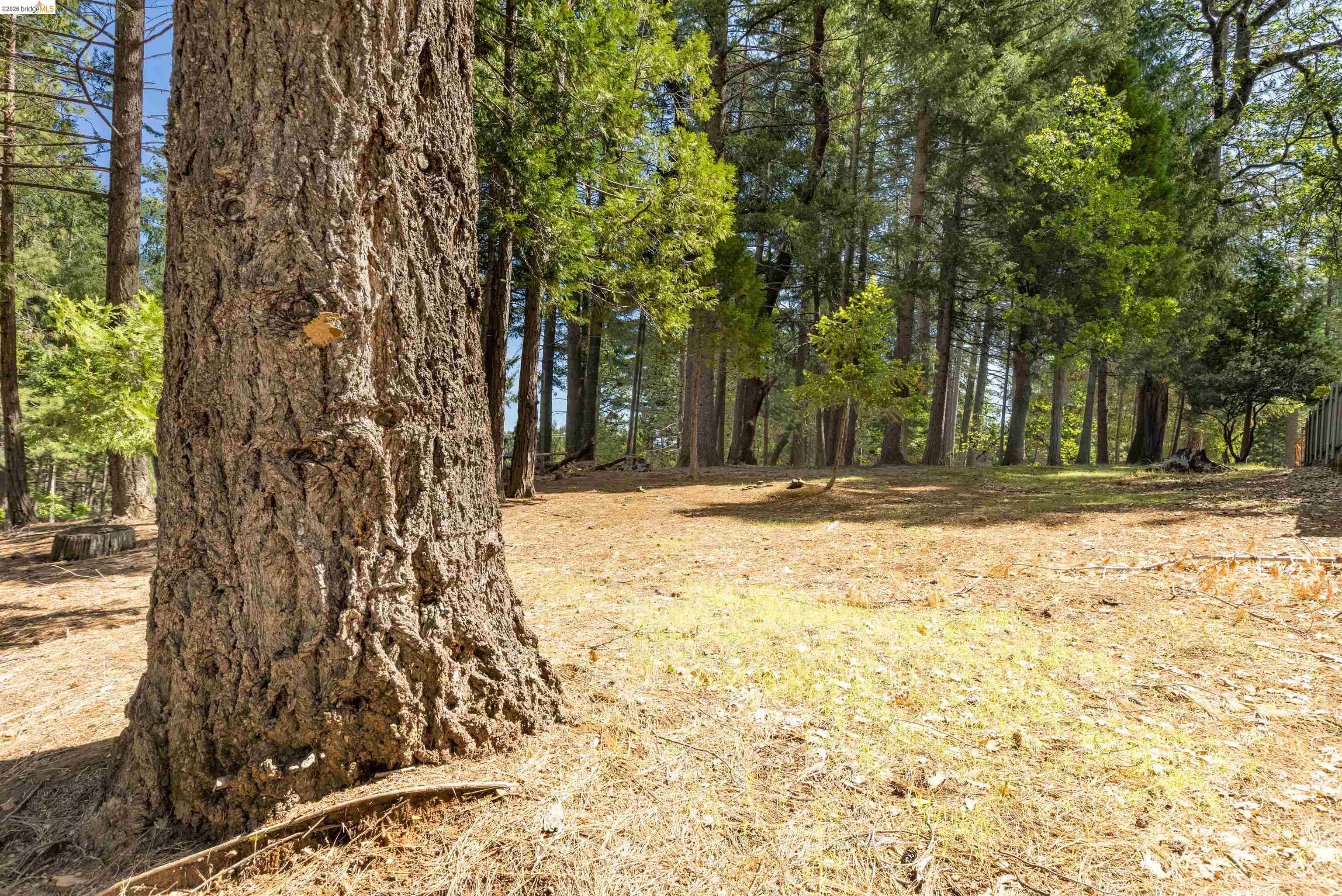 5651 Daisy Cir, Pollock Pines CA 95726 — photo 2