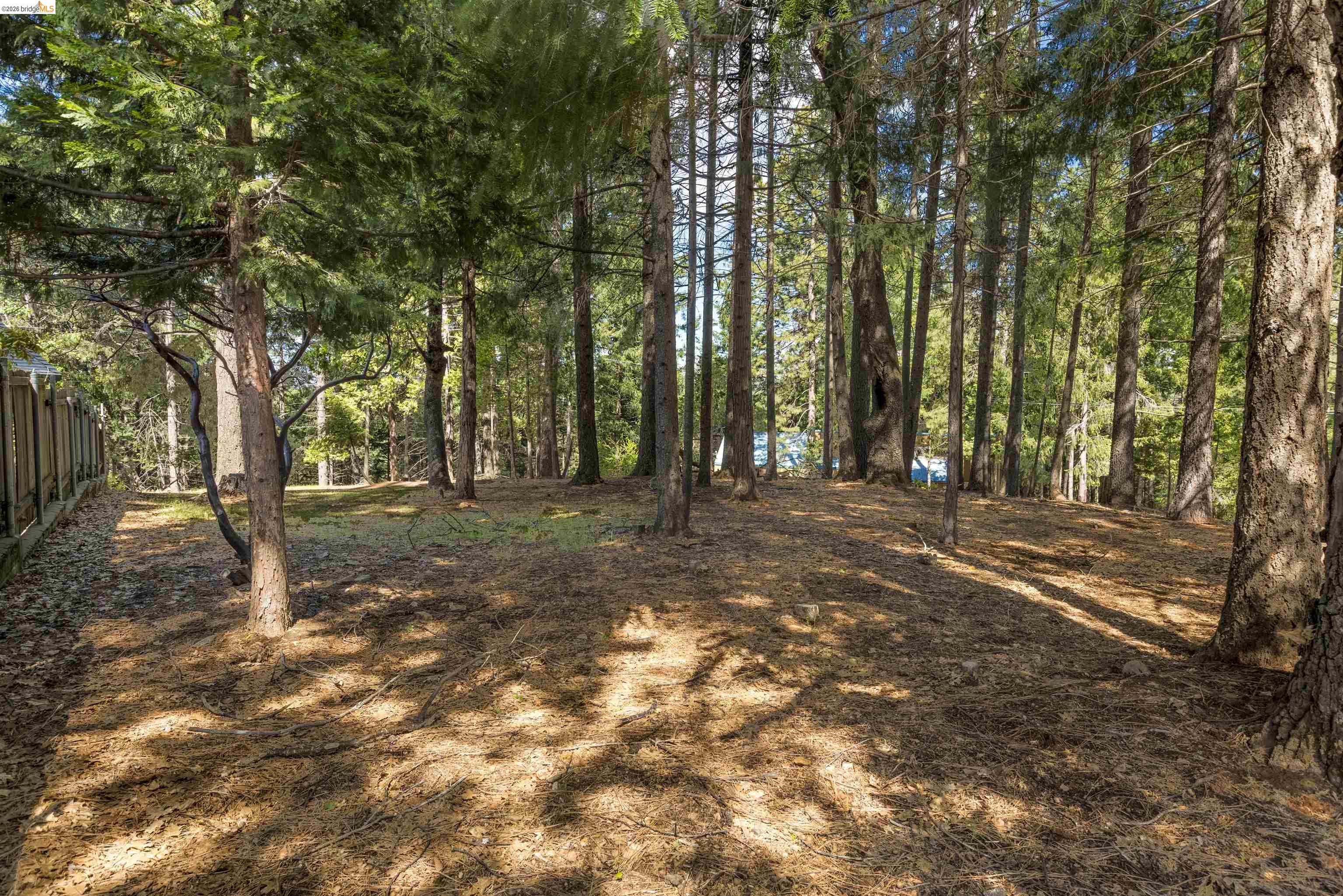 5651 Daisy Cir, Pollock Pines CA 95726 — photo 3