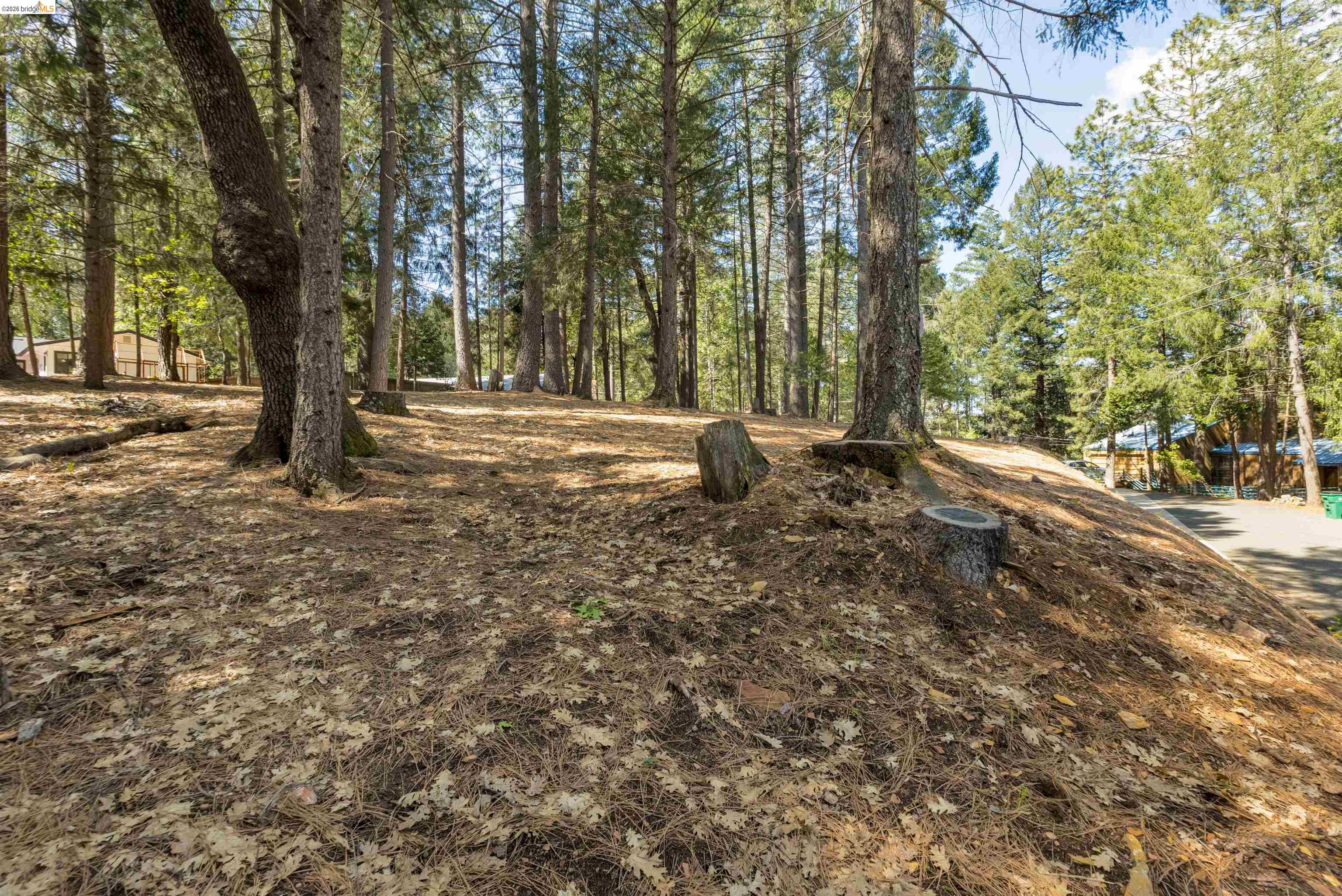 5651 Daisy Cir, Pollock Pines CA 95726 — photo 4