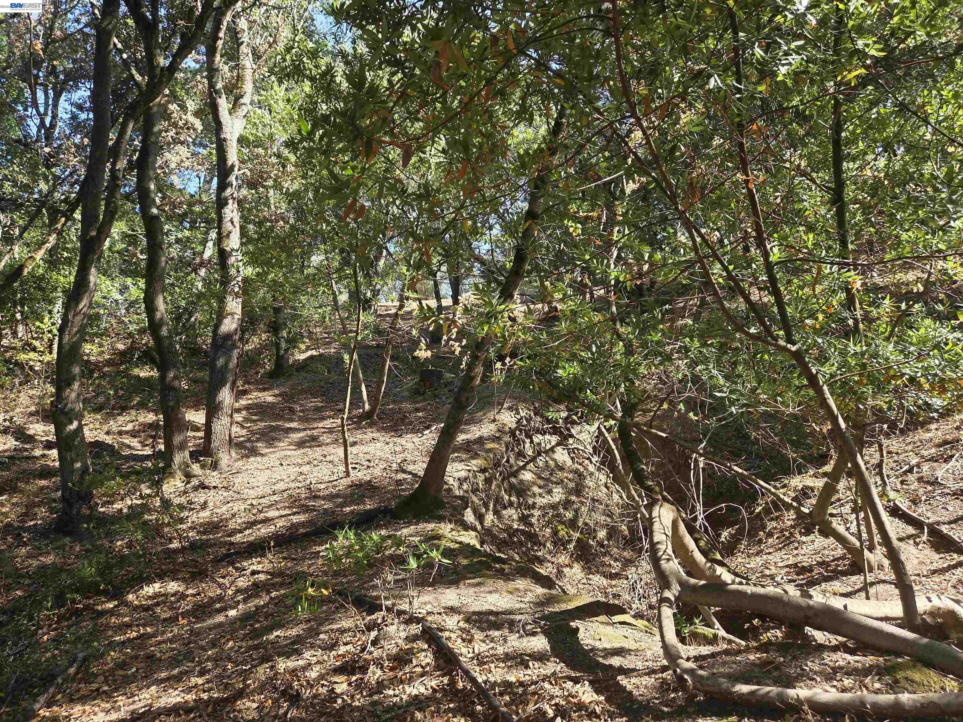 12 Vista Del Orinda, Orinda CA 94563 — photo 12