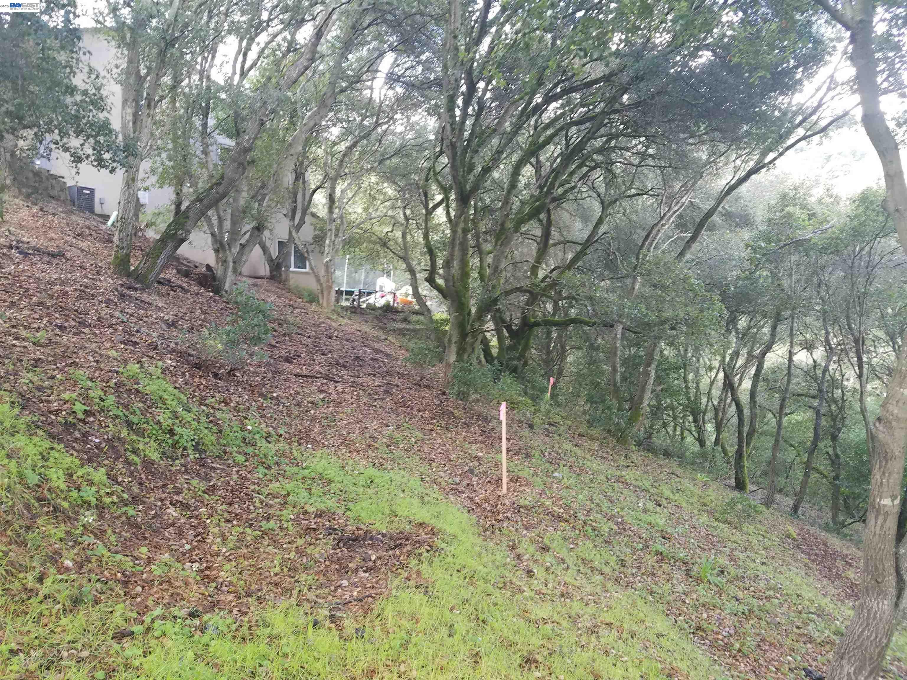 12 Vista Del Orinda, Orinda CA 94563 — photo 16