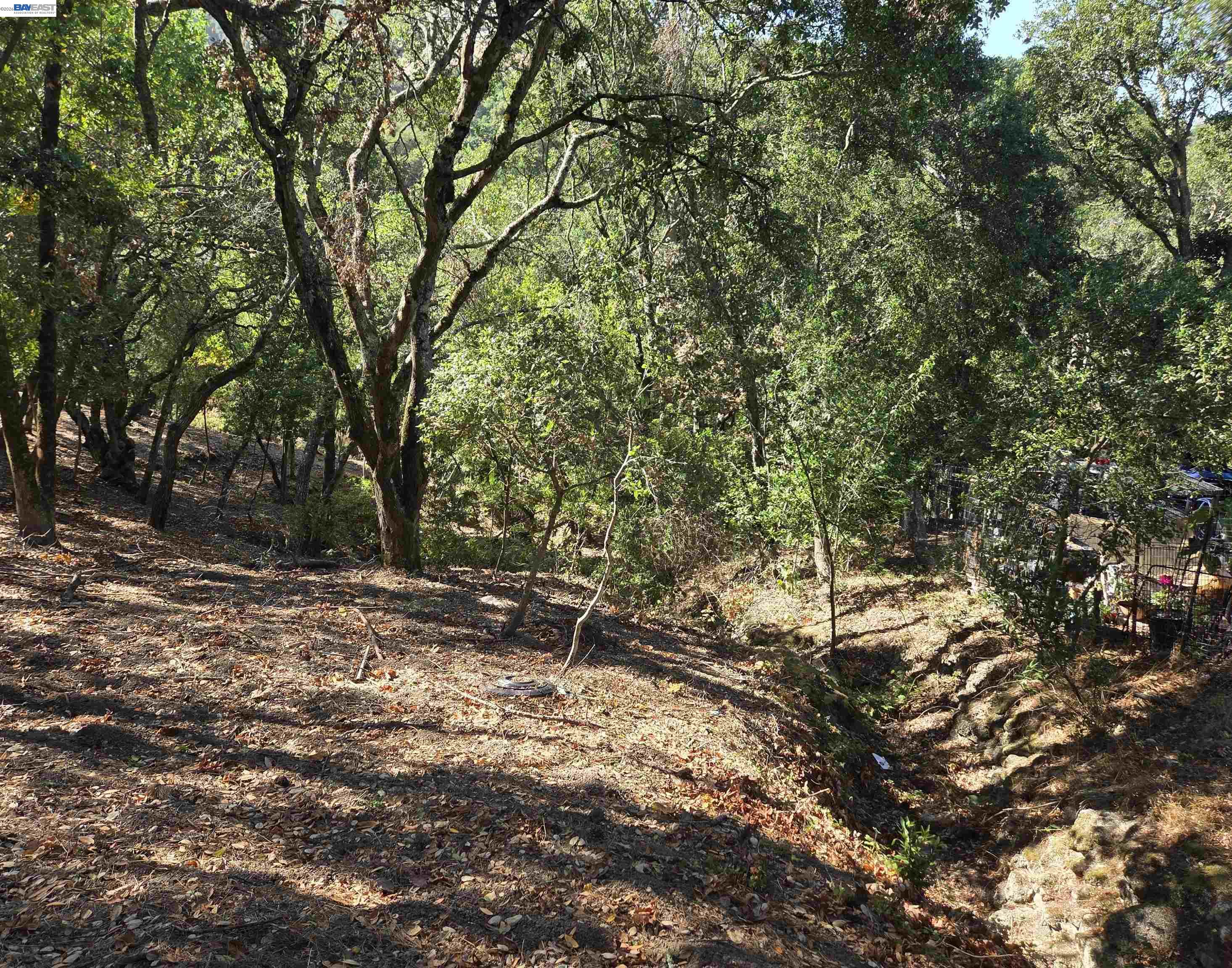 12 Vista Del Orinda, Orinda CA 94563 — photo 17