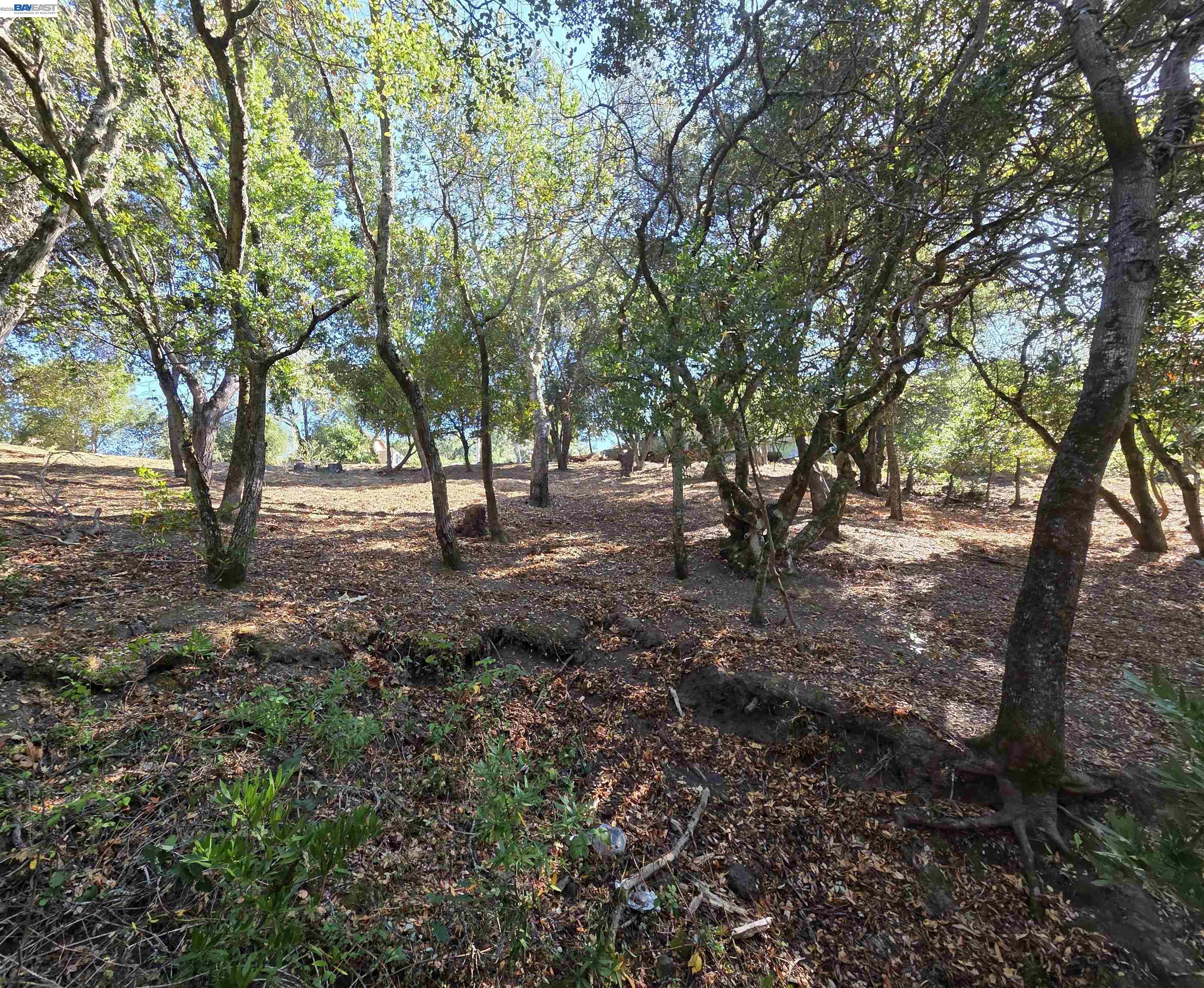 12 Vista Del Orinda, Orinda CA 94563 — photo 19