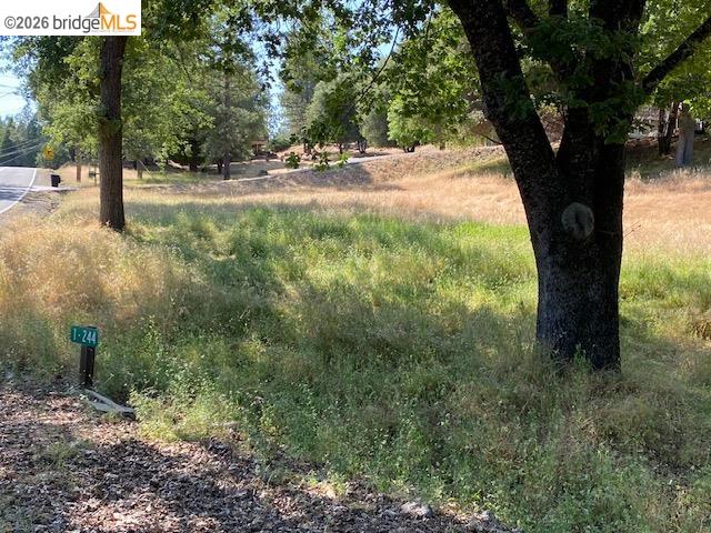 Detail Gallery Image 3 of 36 For 1-244 Pleasant View Dr, Groveland,  CA 95321 - – Beds | – Baths