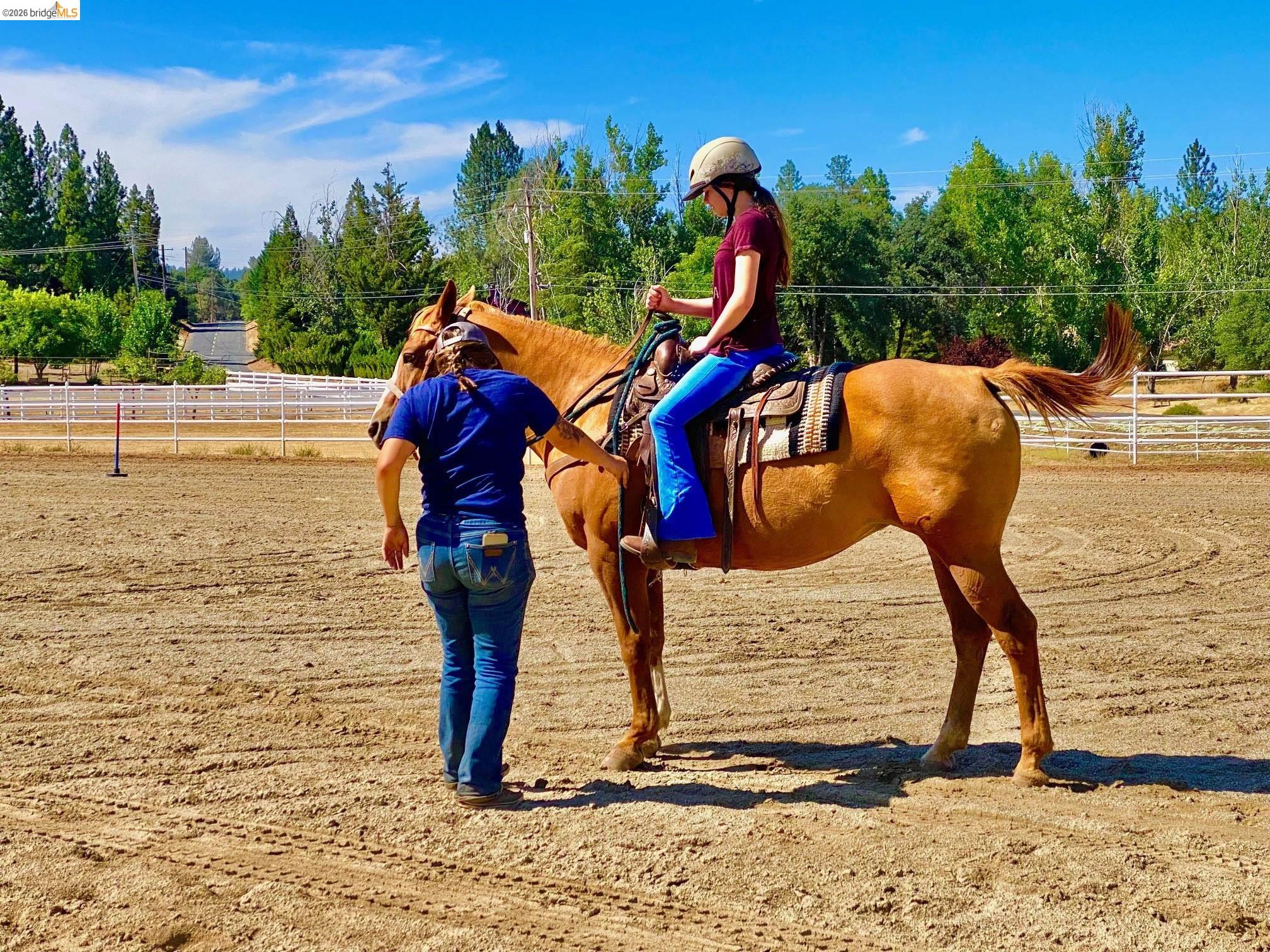 Detail Gallery Image 23 of 36 For 1-244 Pleasant View Dr, Groveland,  CA 95321 - – Beds | – Baths