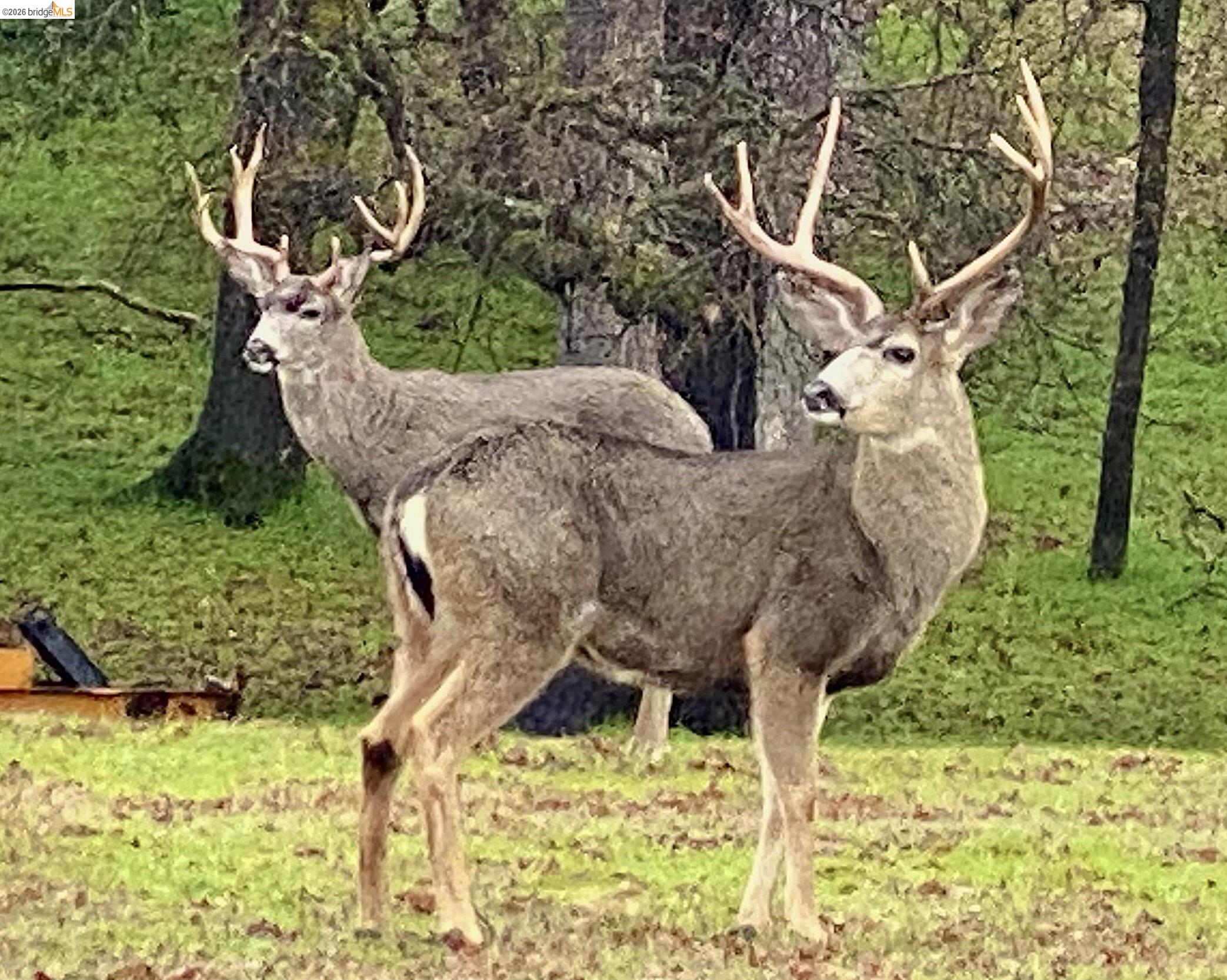 Detail Gallery Image 35 of 36 For 1-244 Pleasant View Dr, Groveland,  CA 95321 - – Beds | – Baths