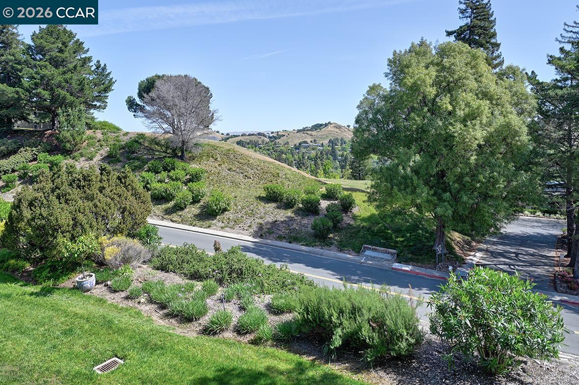 Photo #20: 41131677 Listing: Photo #20