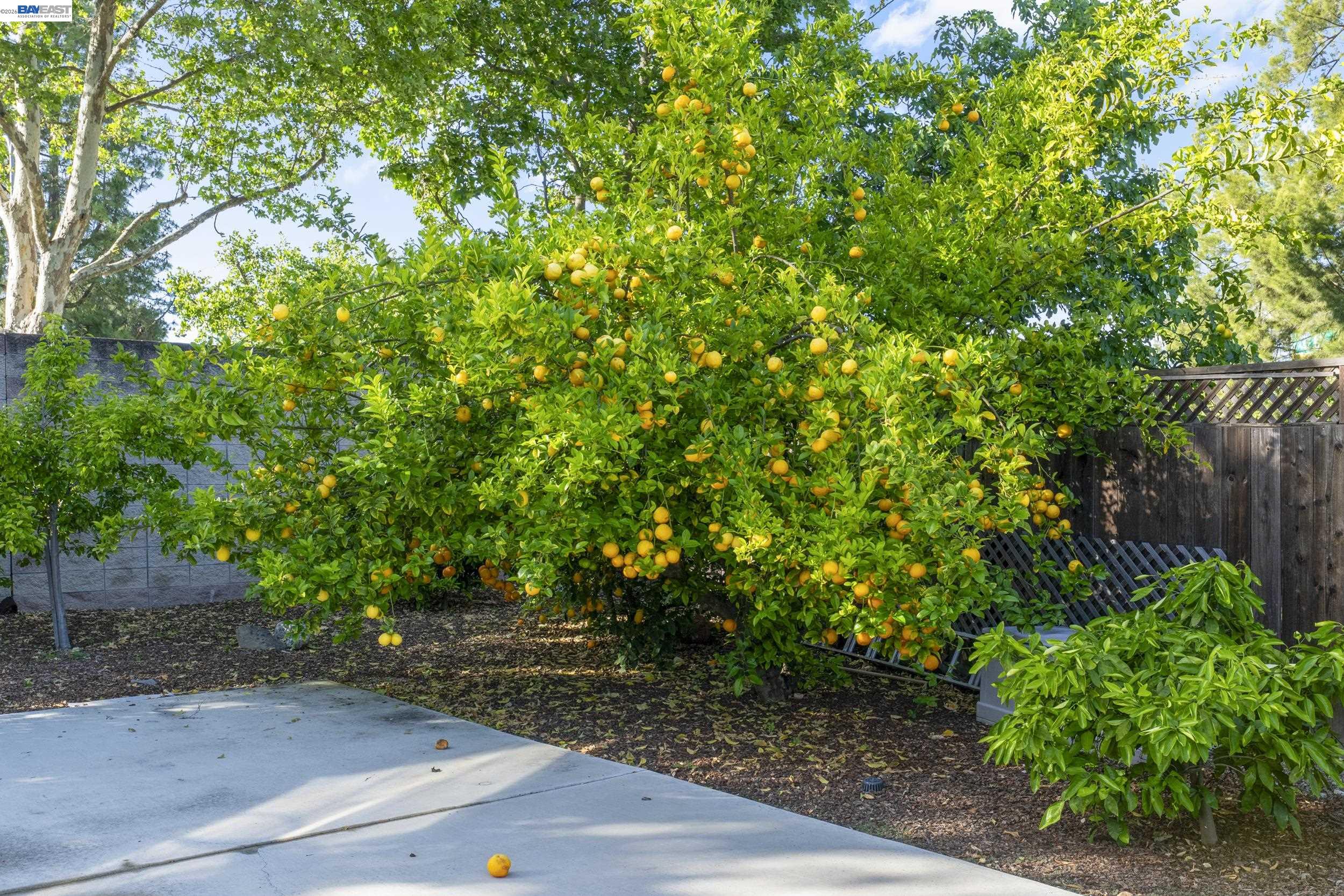 3668 Chelsea Ct, Pleasanton, CA, 94588