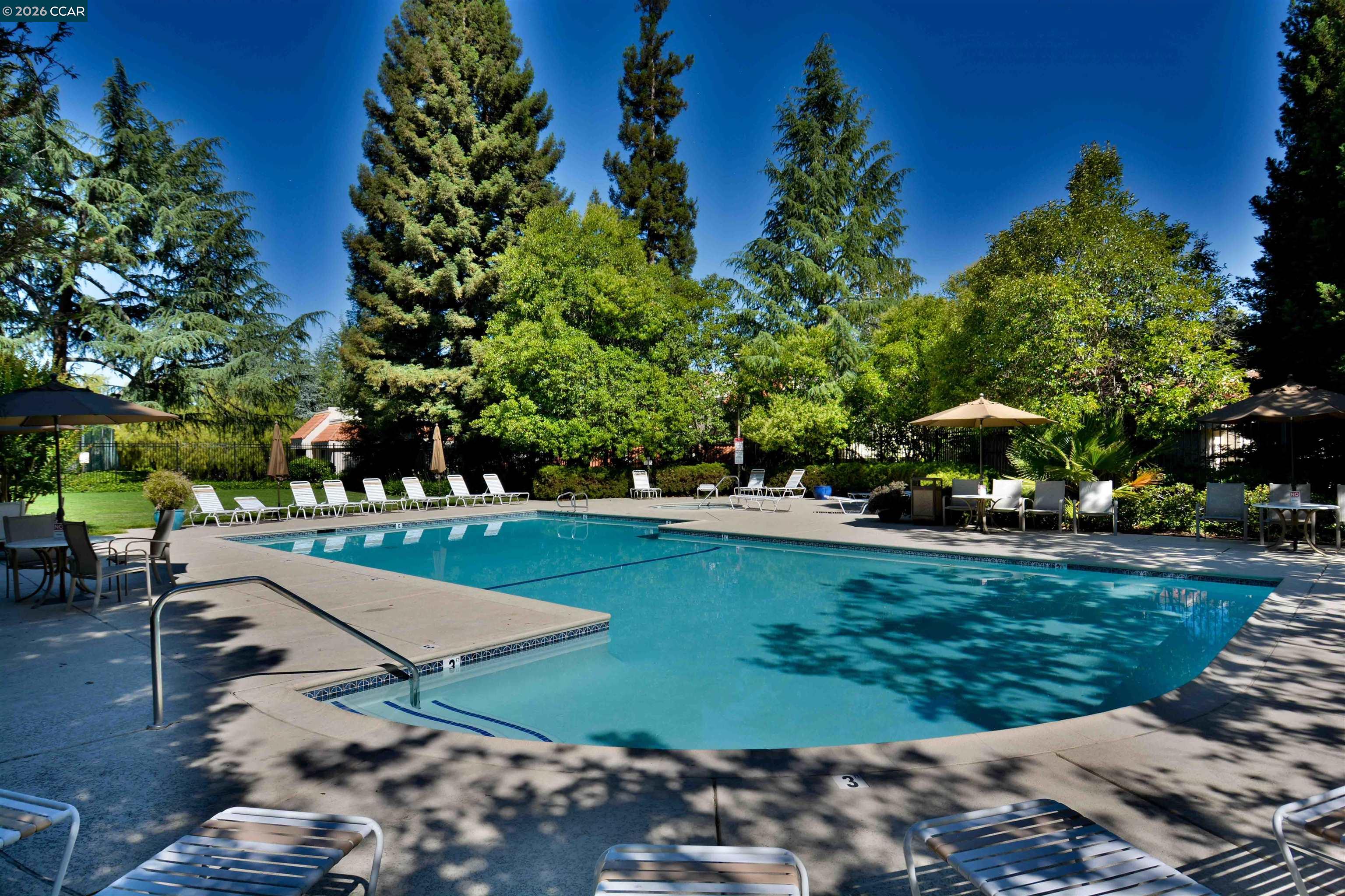 Photo #24: 41131690 Listing: Photo #24