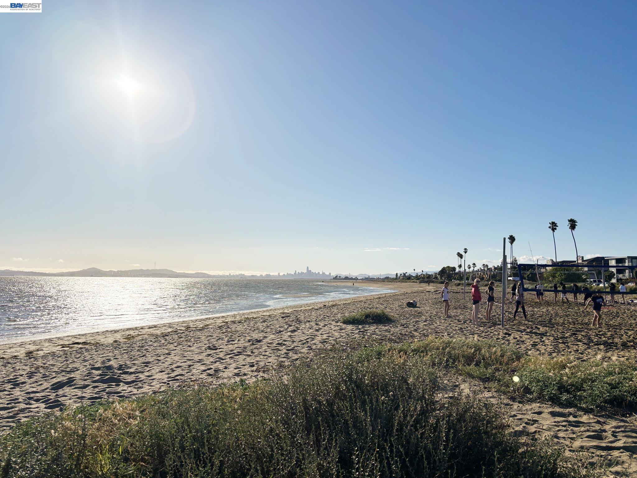 Photo #24: 41131693 Listing: Photo #24