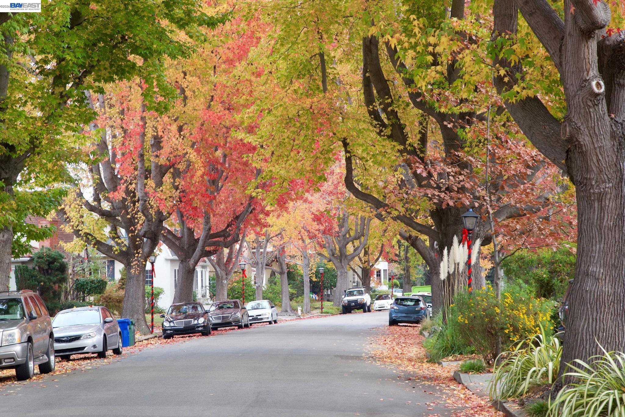 Photo #36: 41131693 Listing: Photo #36