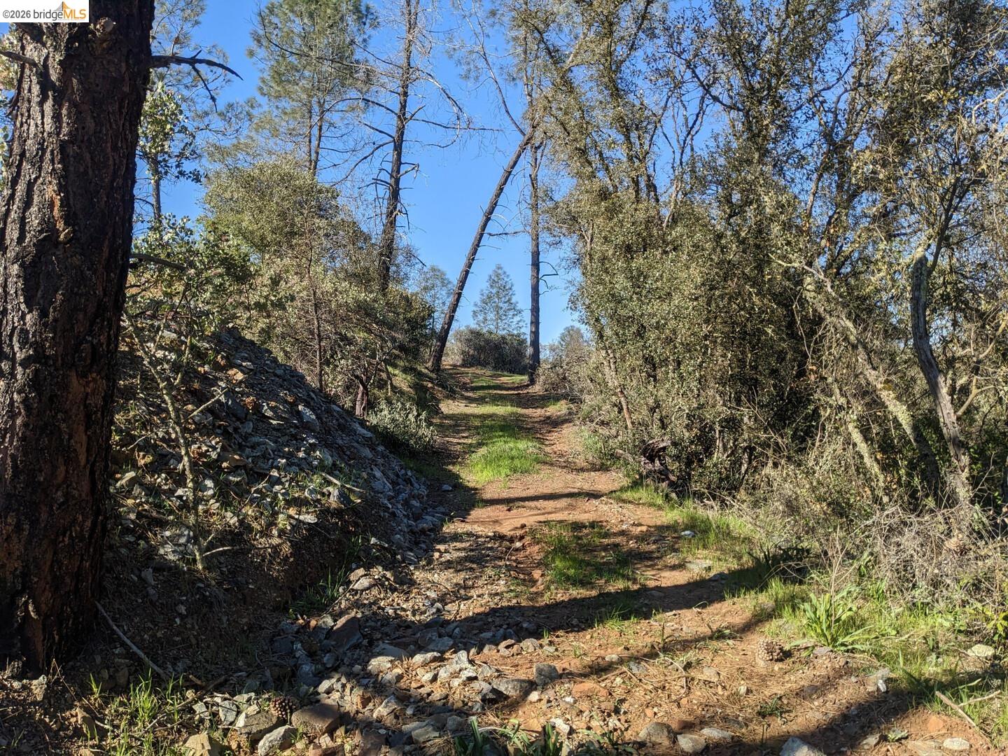 4095 Green Valley RD, Rescue CA 95672 — photo 24