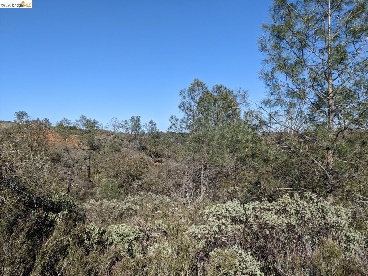 4095 Green Valley RD, Rescue CA 95672 — photo 28