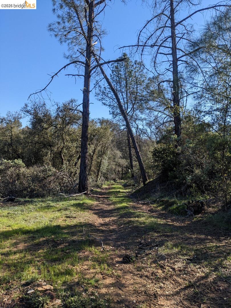4095 Green Valley RD, Rescue CA 95672 — photo 31