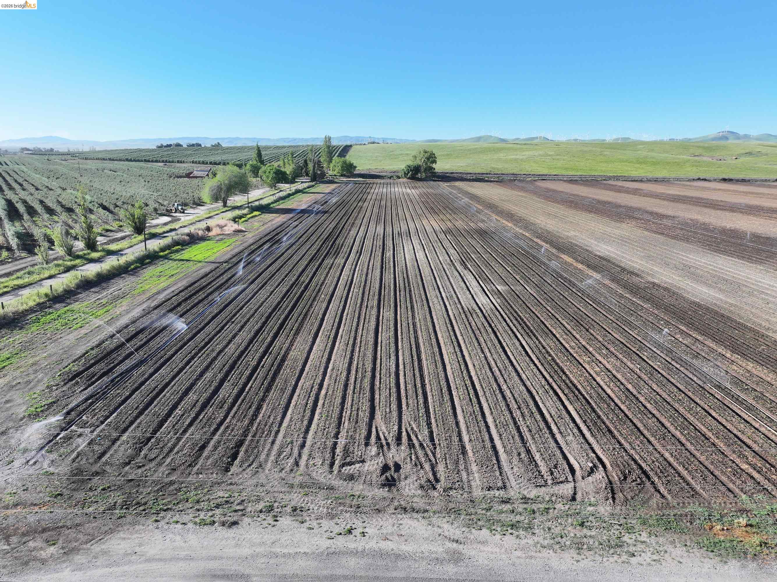 0000 Byron Hwy, Byron CA 94514 — photo 7