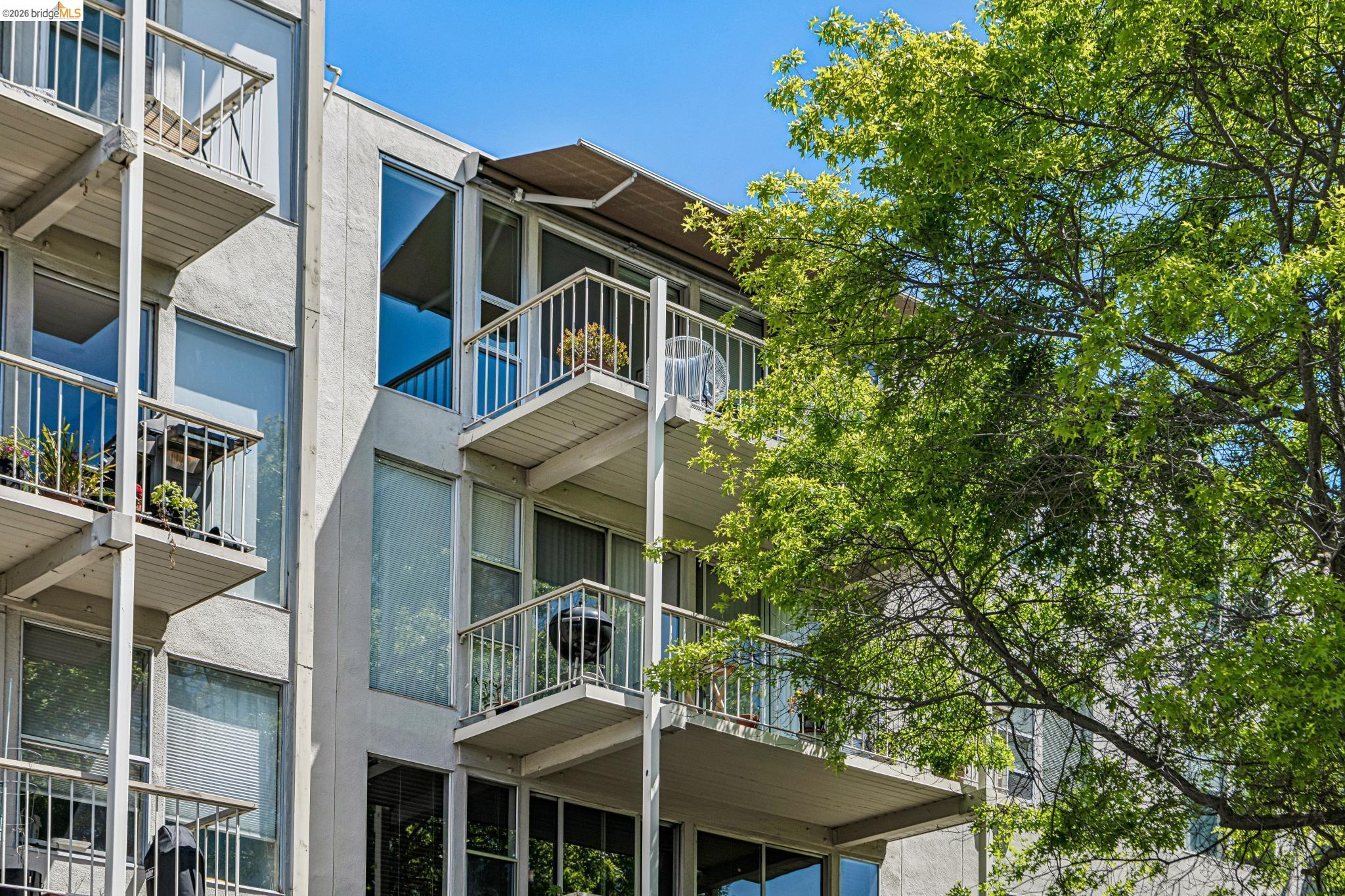 Photo #33: 41131727 Listing: Photo #33