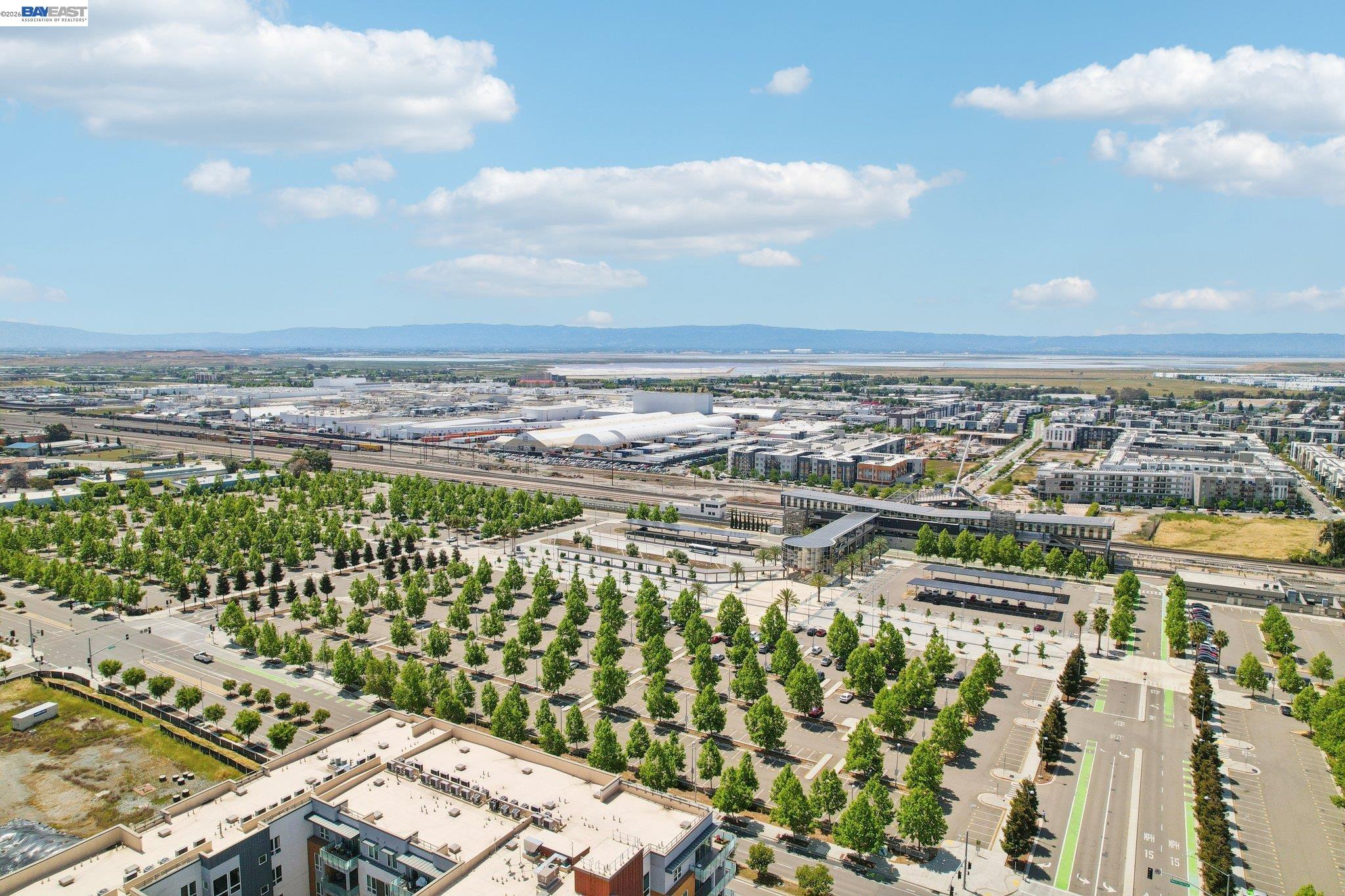 Photo #52: 41131729 Listing: Photo #52