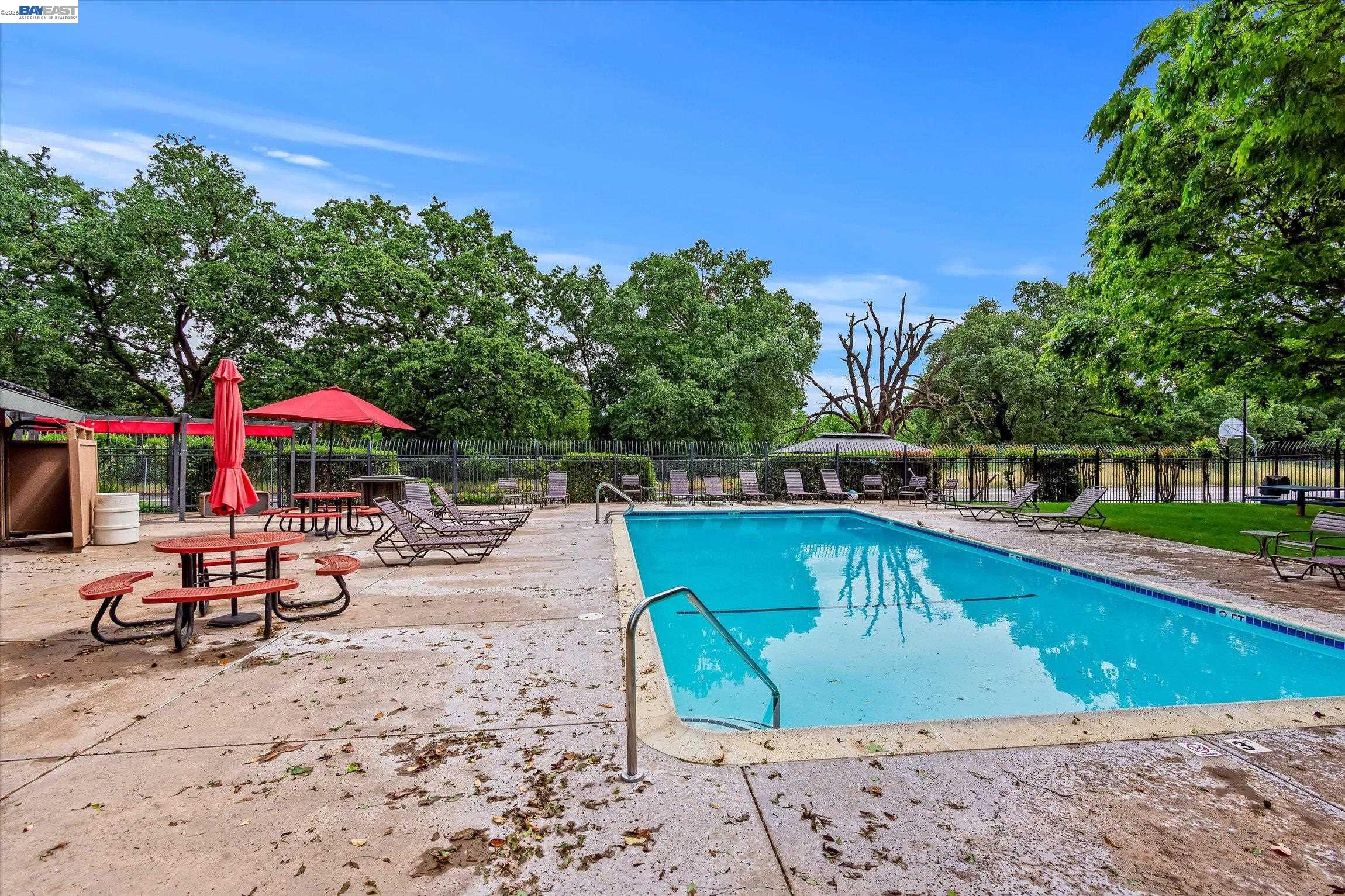 Photo #22: 41131758 Listing: Photo #22