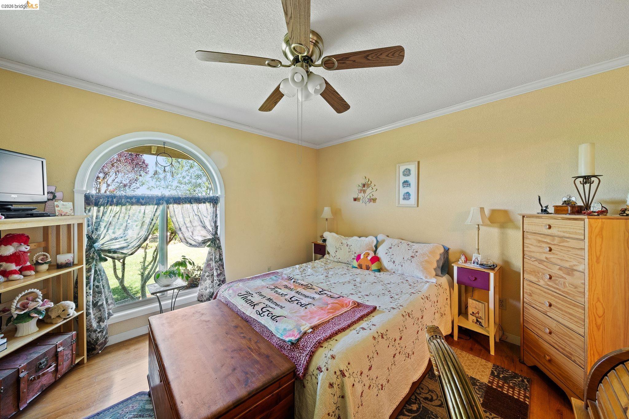 2445 Taylor Ln, Byron CA 94514 — photo 15