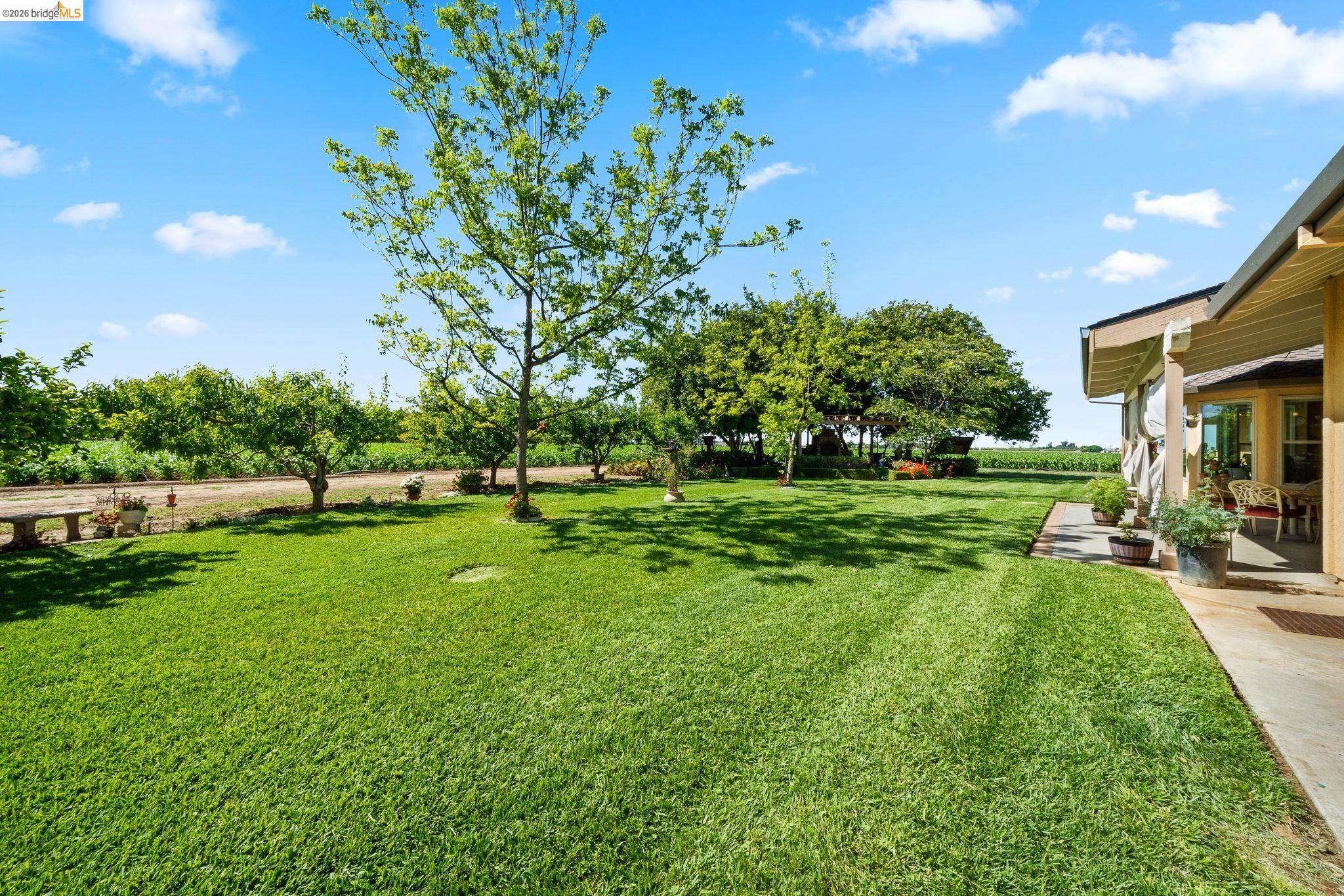2445 Taylor Ln, Byron CA 94514 — photo 33