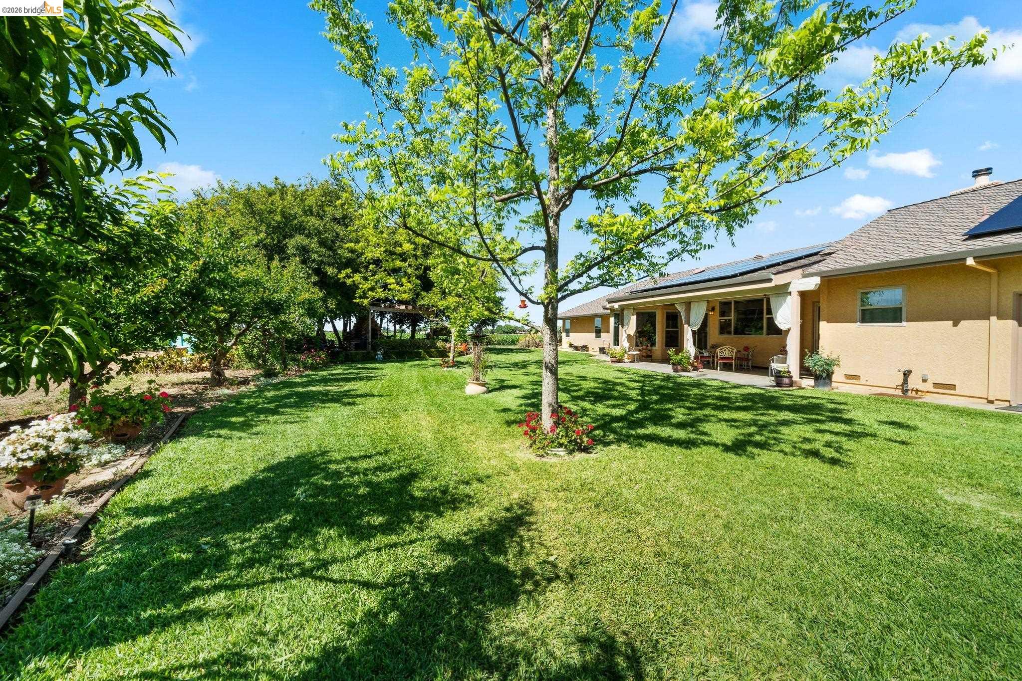 2445 Taylor Ln, Byron CA 94514 — photo 34