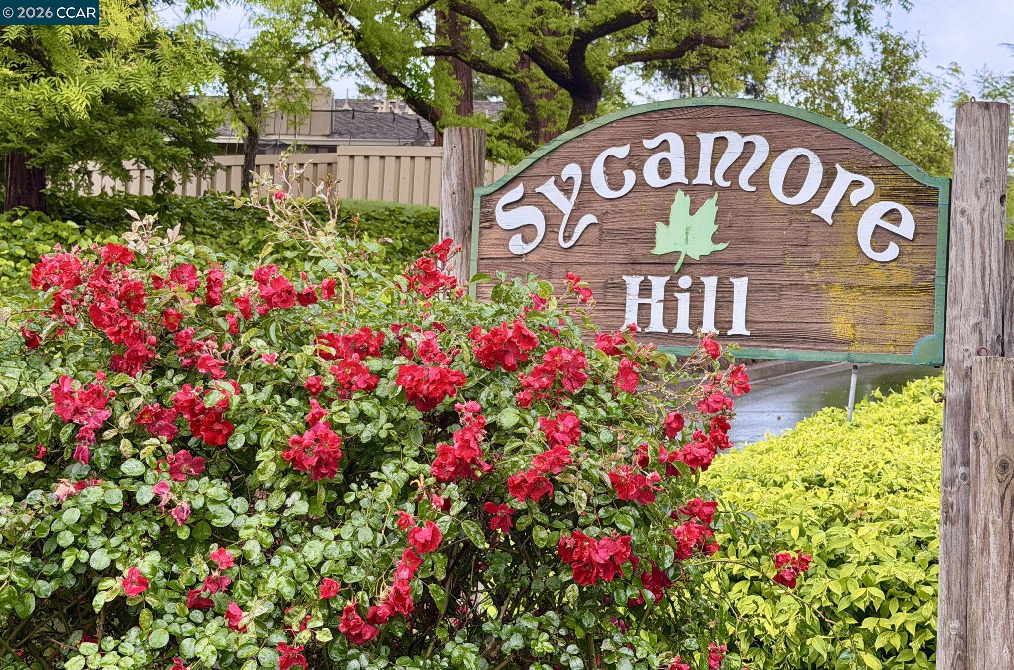 327 Sycamore Hill Ct, Danville, CA, 94526