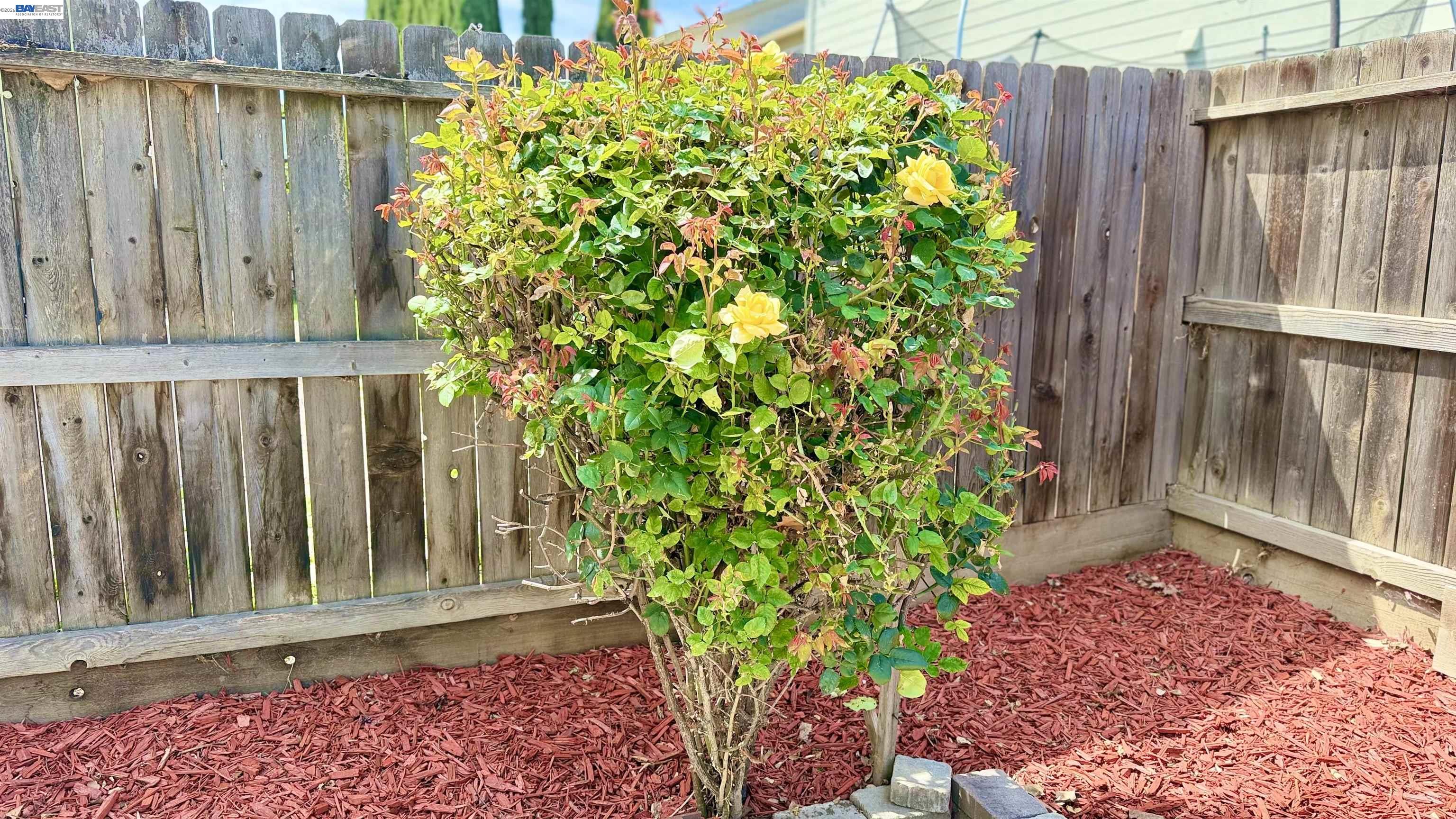 Detail Gallery Image 29 of 30 For 1555 Lankershire Dr, Tracy,  CA 95377 - 3 Beds | 2/1 Baths