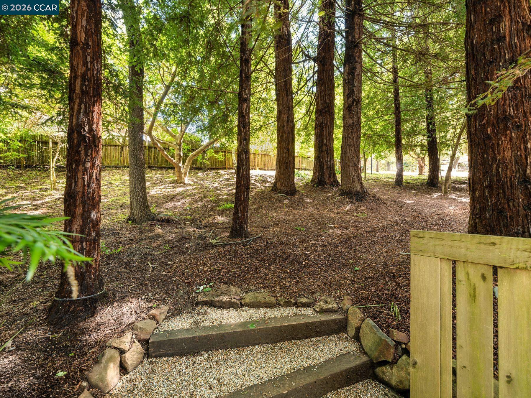 Detail Gallery Image 32 of 38 For 6 Dorothy Pl, Berkeley,  CA 94705 - 3 Beds | 2/1 Baths