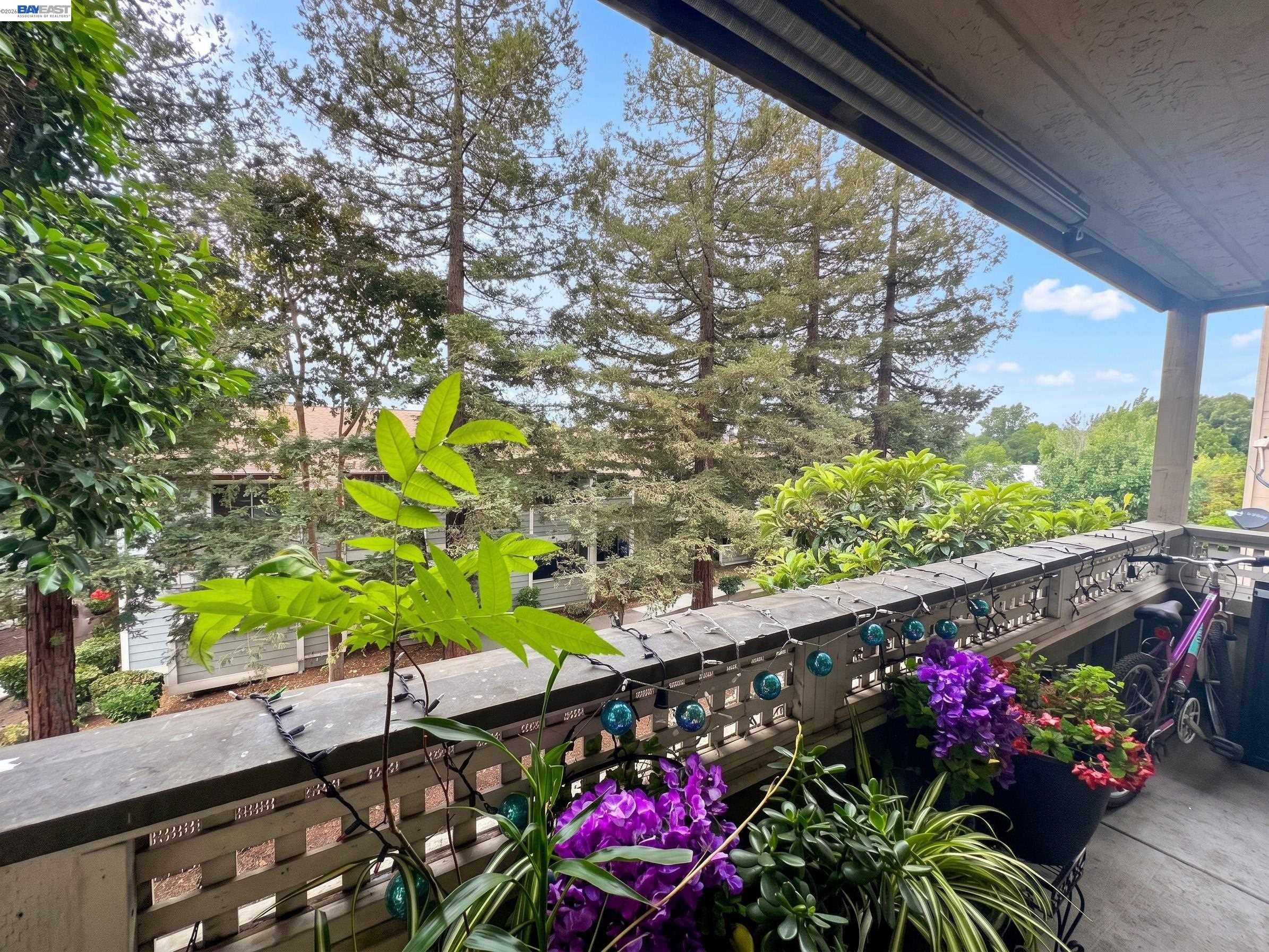 Front Image Thumbnail for BE41131830