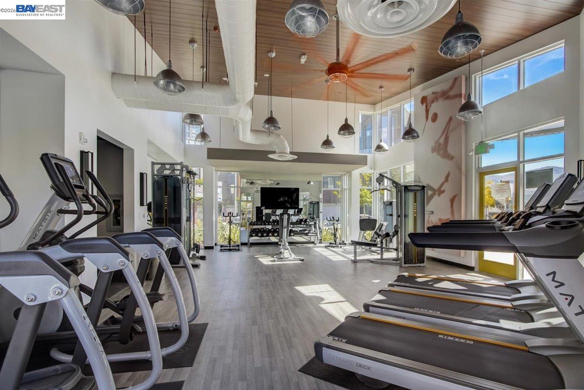 Photo #45: 41131849 Listing: Photo #45