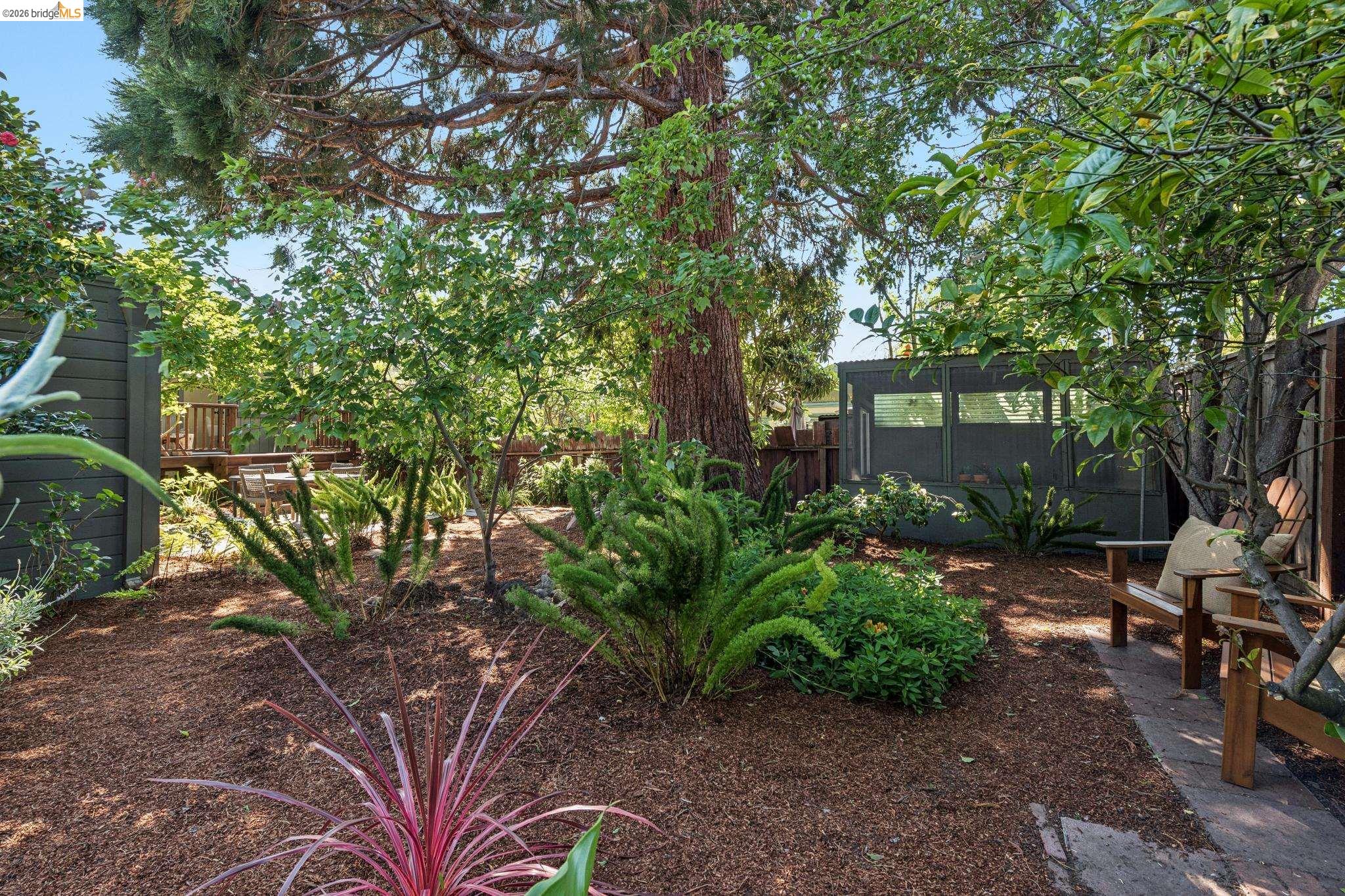 Detail Gallery Image 33 of 41 For 1233 Carleton St, Berkeley,  CA 94702 - 2 Beds | 1 Baths
