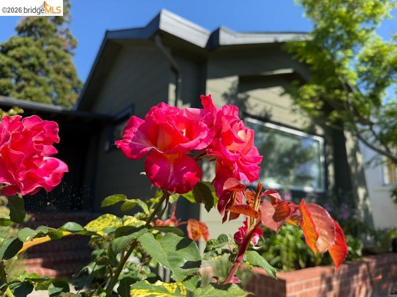 Detail Gallery Image 38 of 41 For 1233 Carleton St, Berkeley,  CA 94702 - 2 Beds | 1 Baths