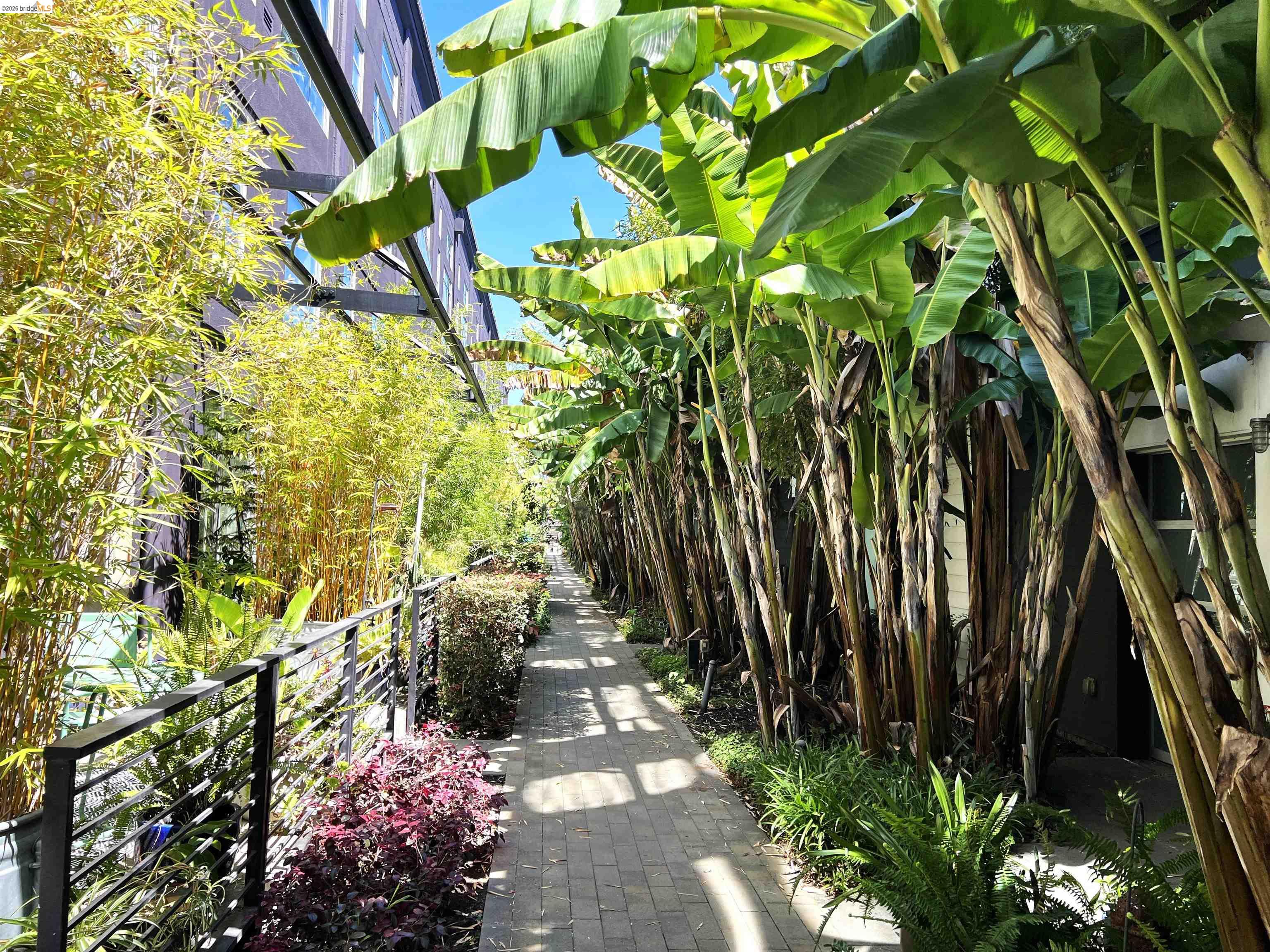 Photo #19: 41131852 Listing: Photo #19