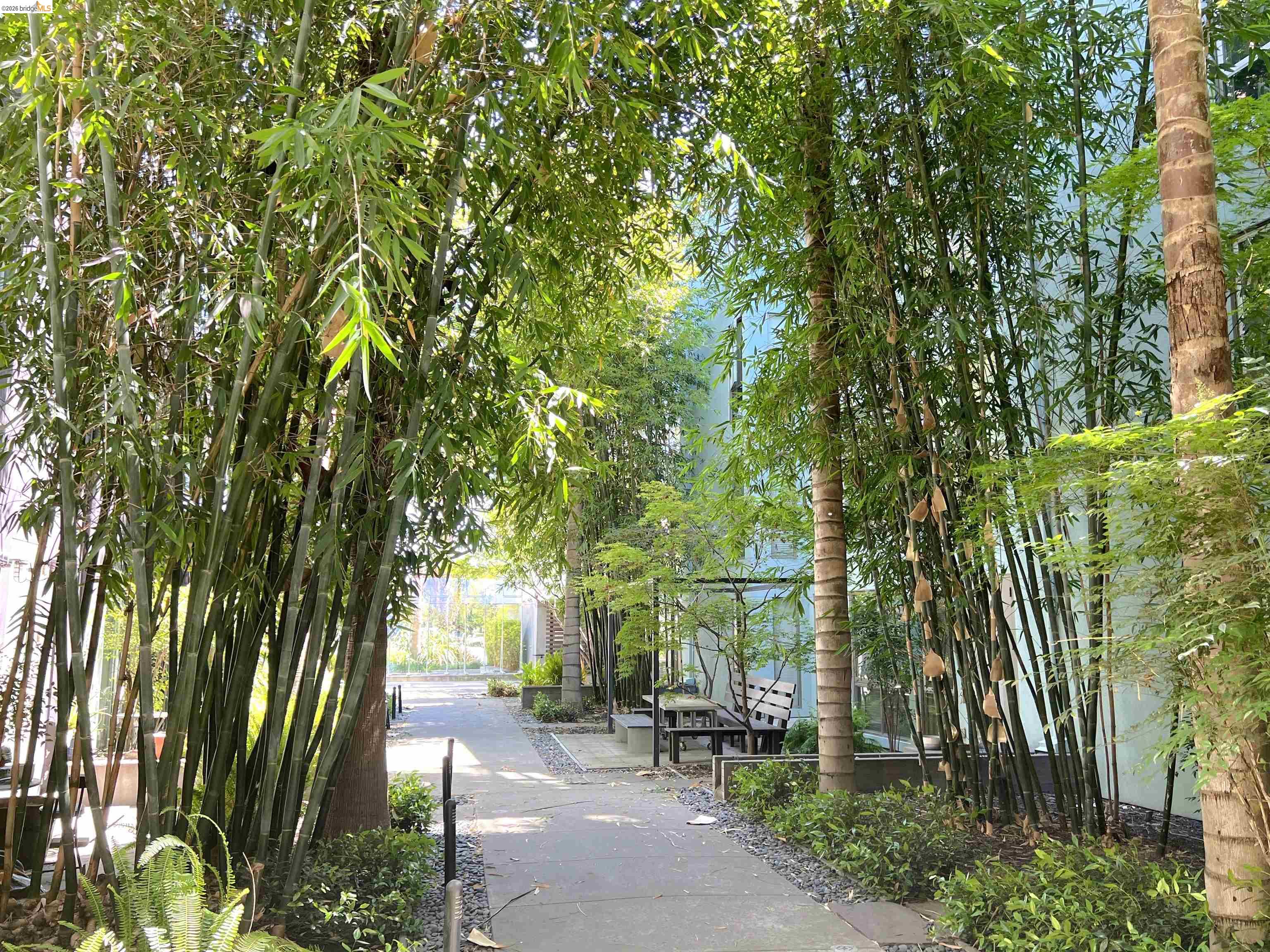 Photo #3: 41131852 Listing: Photo #3