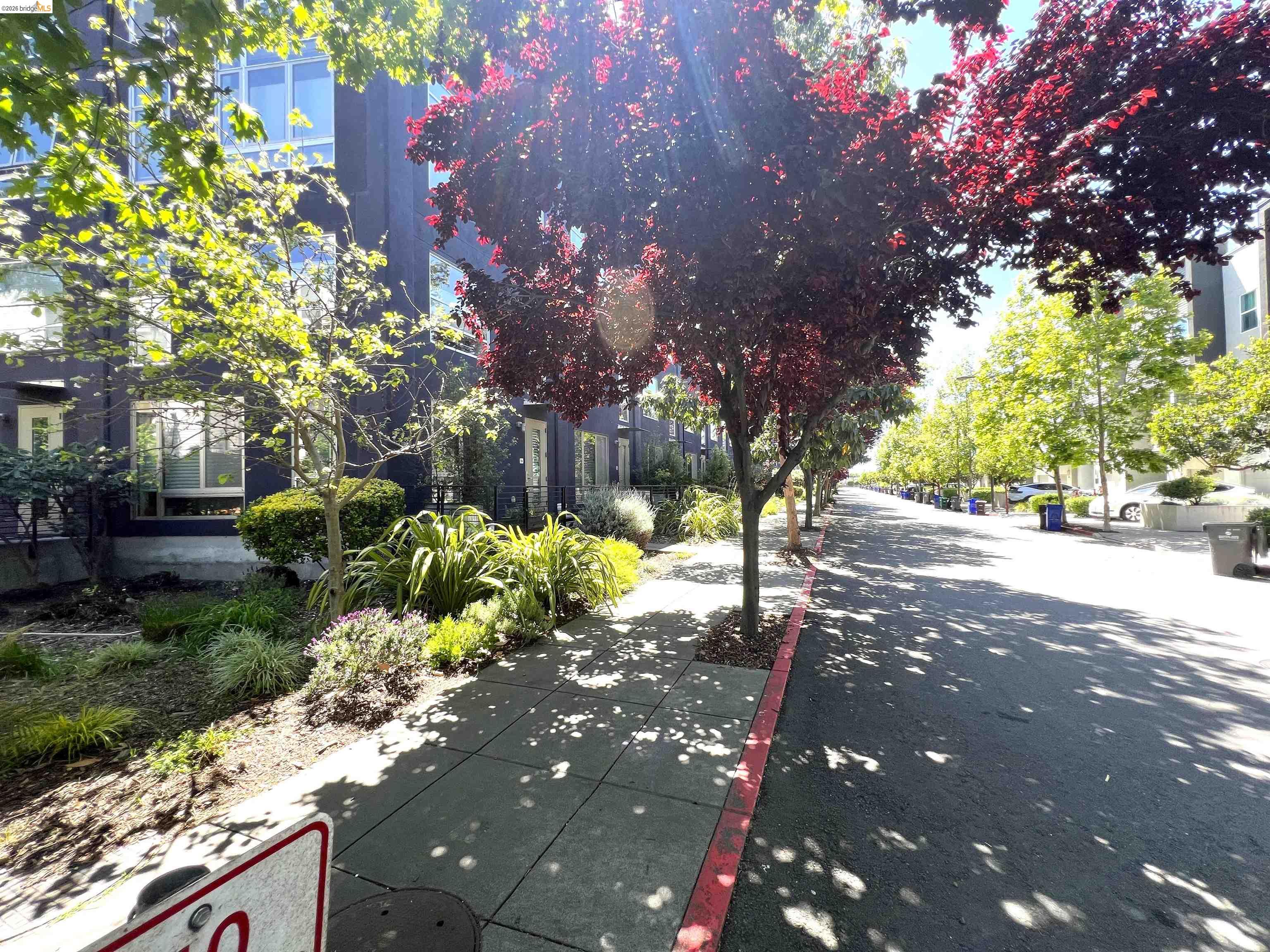 Photo #37: 41131852 Listing: Photo #37
