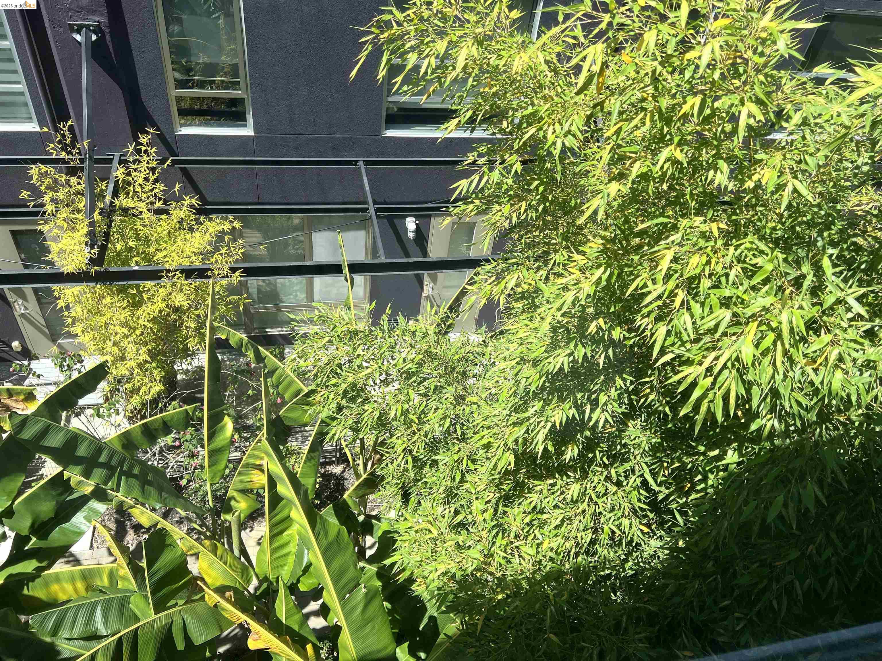 1253 Pine St, Oakland CA 94607 — photo 39