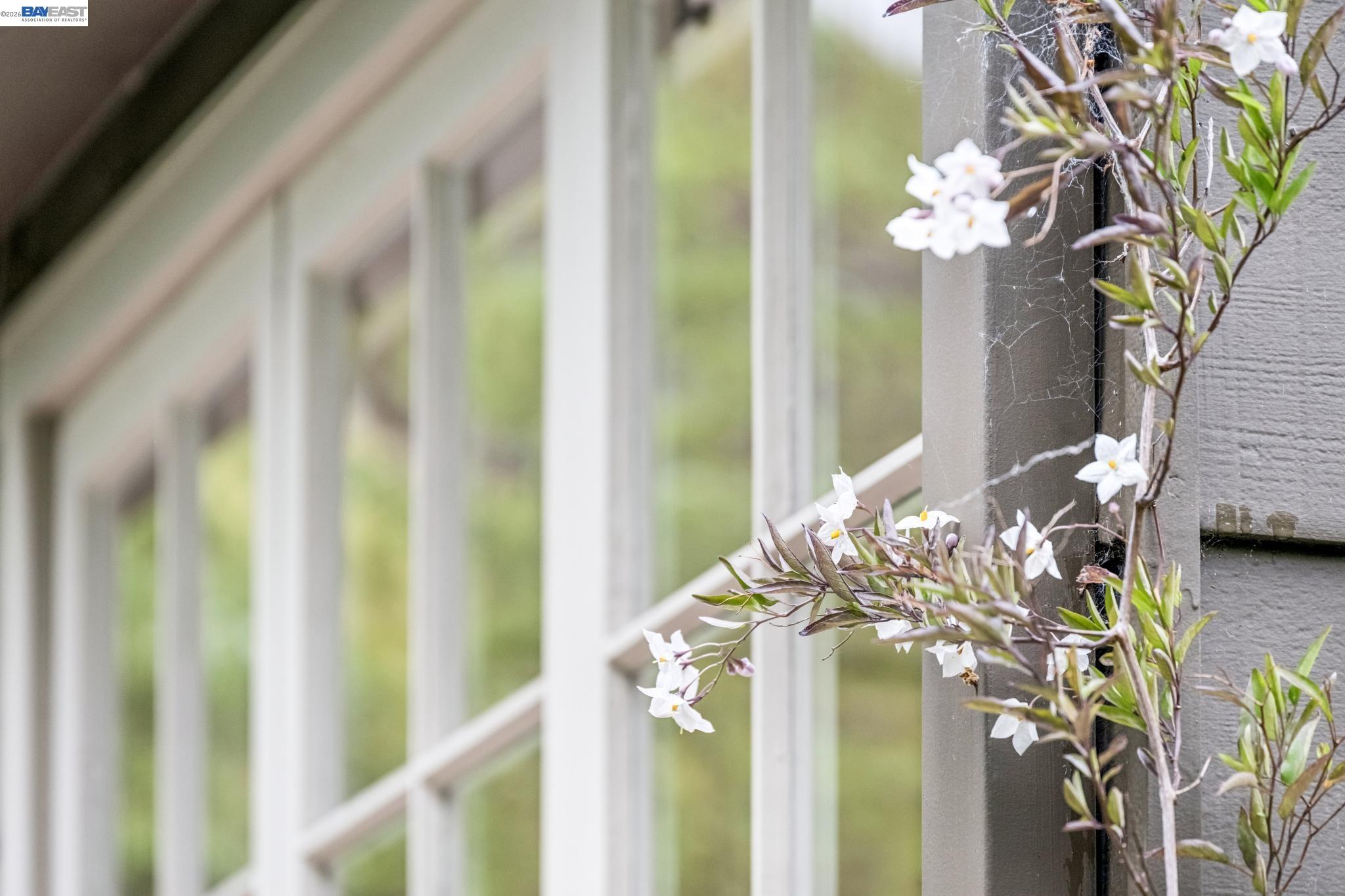 Detail Gallery Image 49 of 56 For 1800 San Lorenzo Avenue, Berkeley,  CA 94707 - 3 Beds | 1/1 Baths