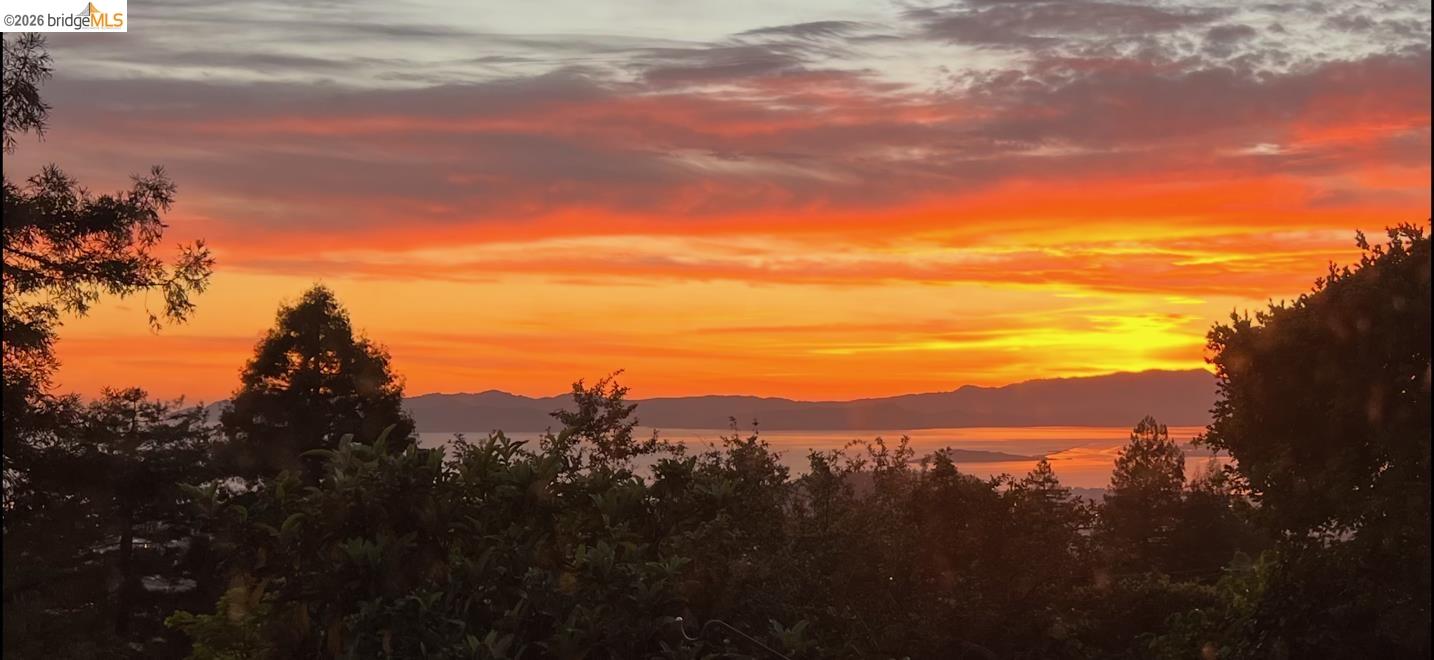 Detail Gallery Image 8 of 37 For 870 Keeler Ave, Berkeley,  CA 94708 - 3 Beds | 2 Baths