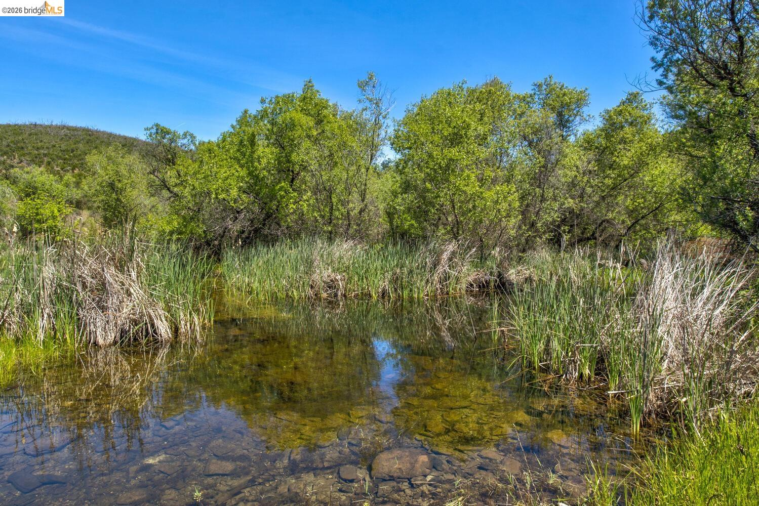 4780 Mary Harrison Mine Rd, Coulterville CA 95311 — photo 54