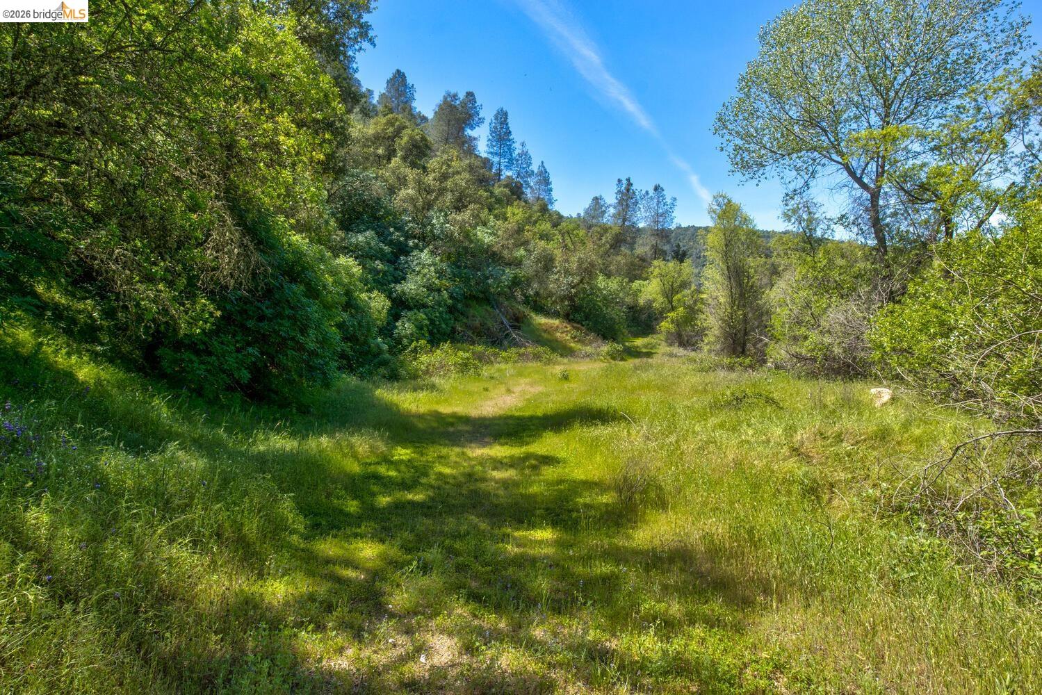 4780 Mary Harrison Mine Rd, Coulterville CA 95311 — photo 57