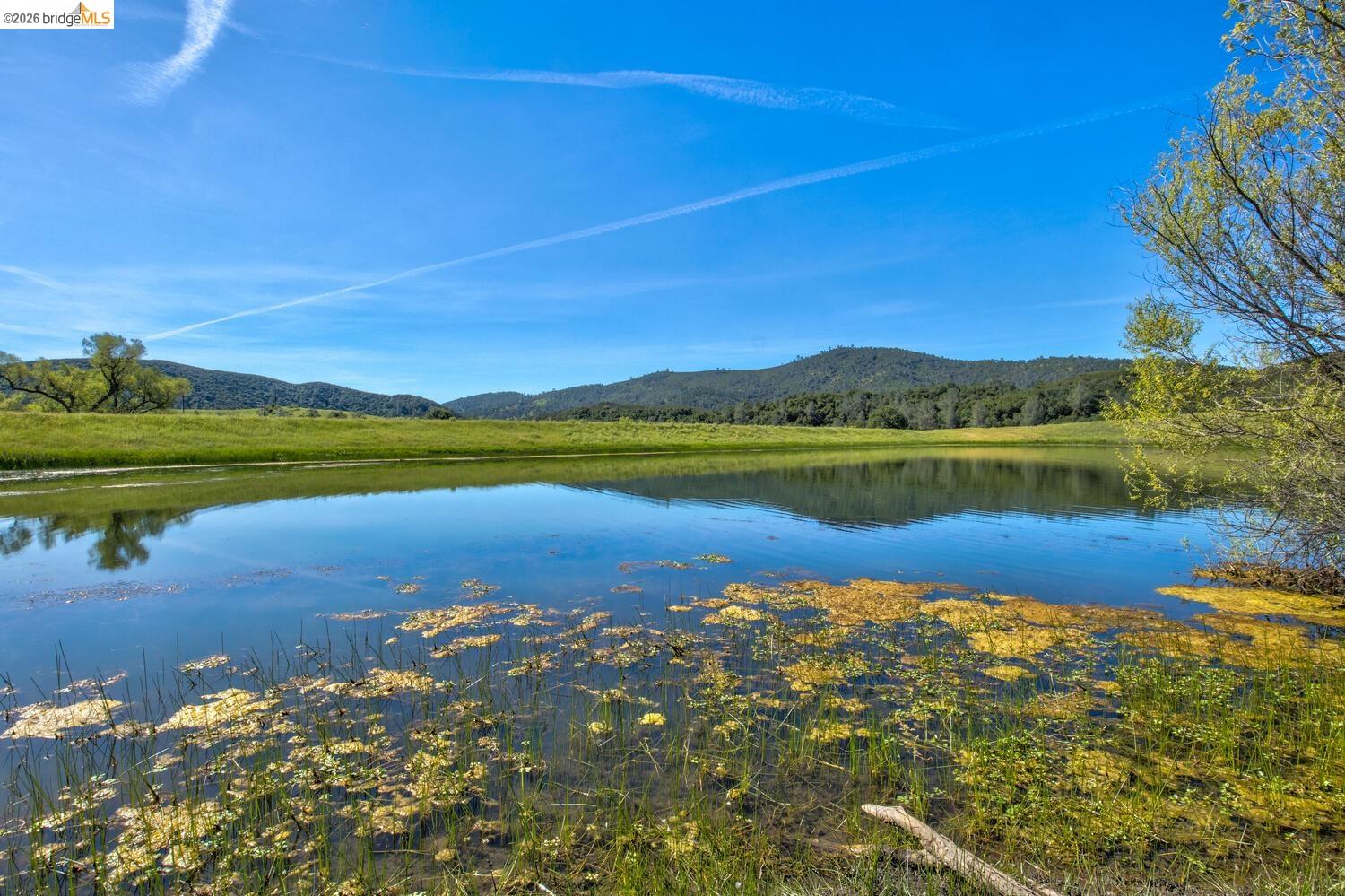 4780 Mary Harrison Mine Rd, Coulterville CA 95311 — photo 7