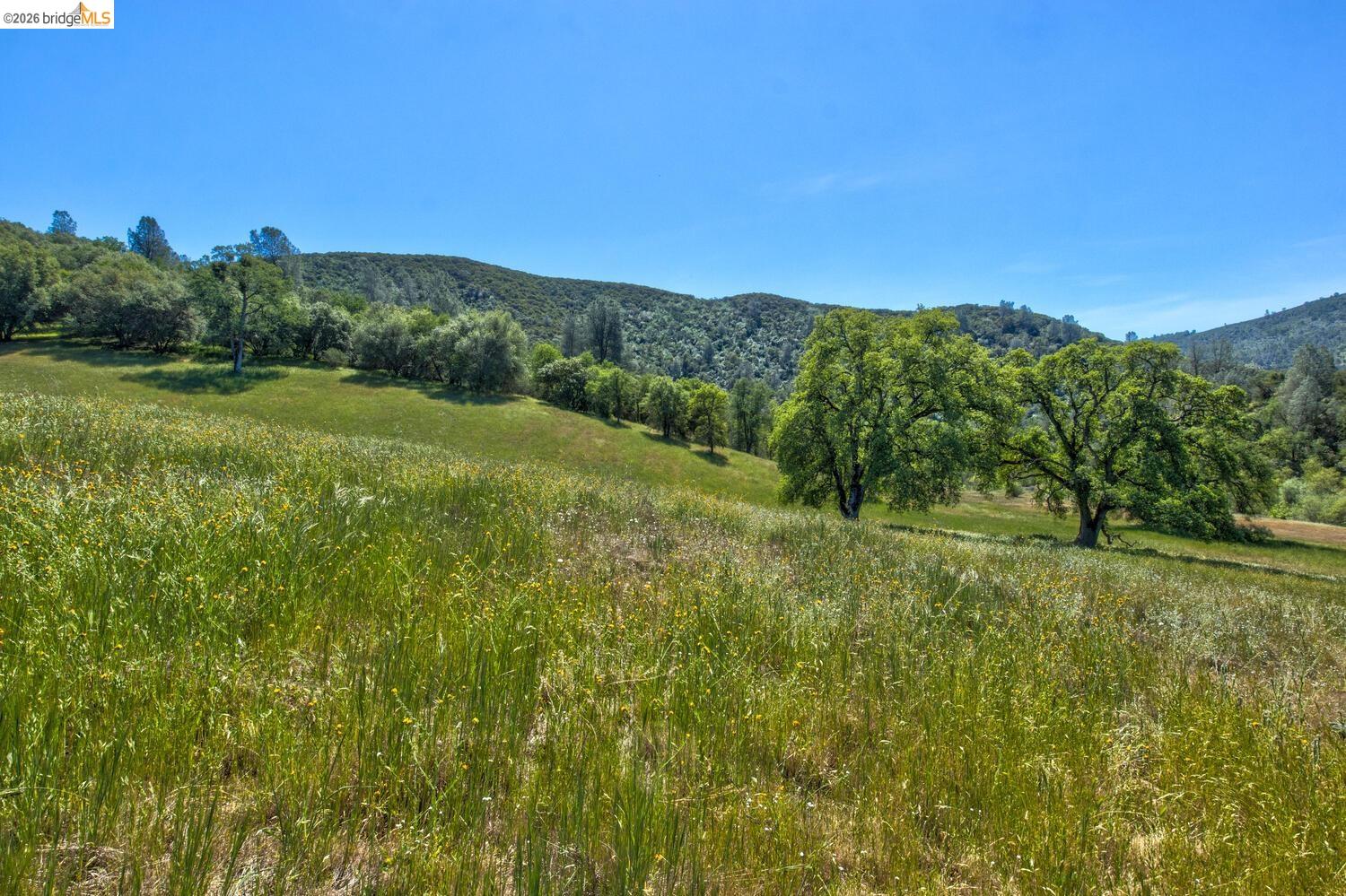 4780 Mary Harrison Mine Rd, Coulterville CA 95311 — photo 71