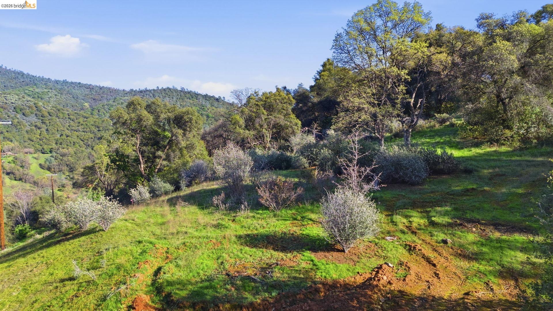 11676 Hemphill LN, Sonora CA 95370 — photo 11