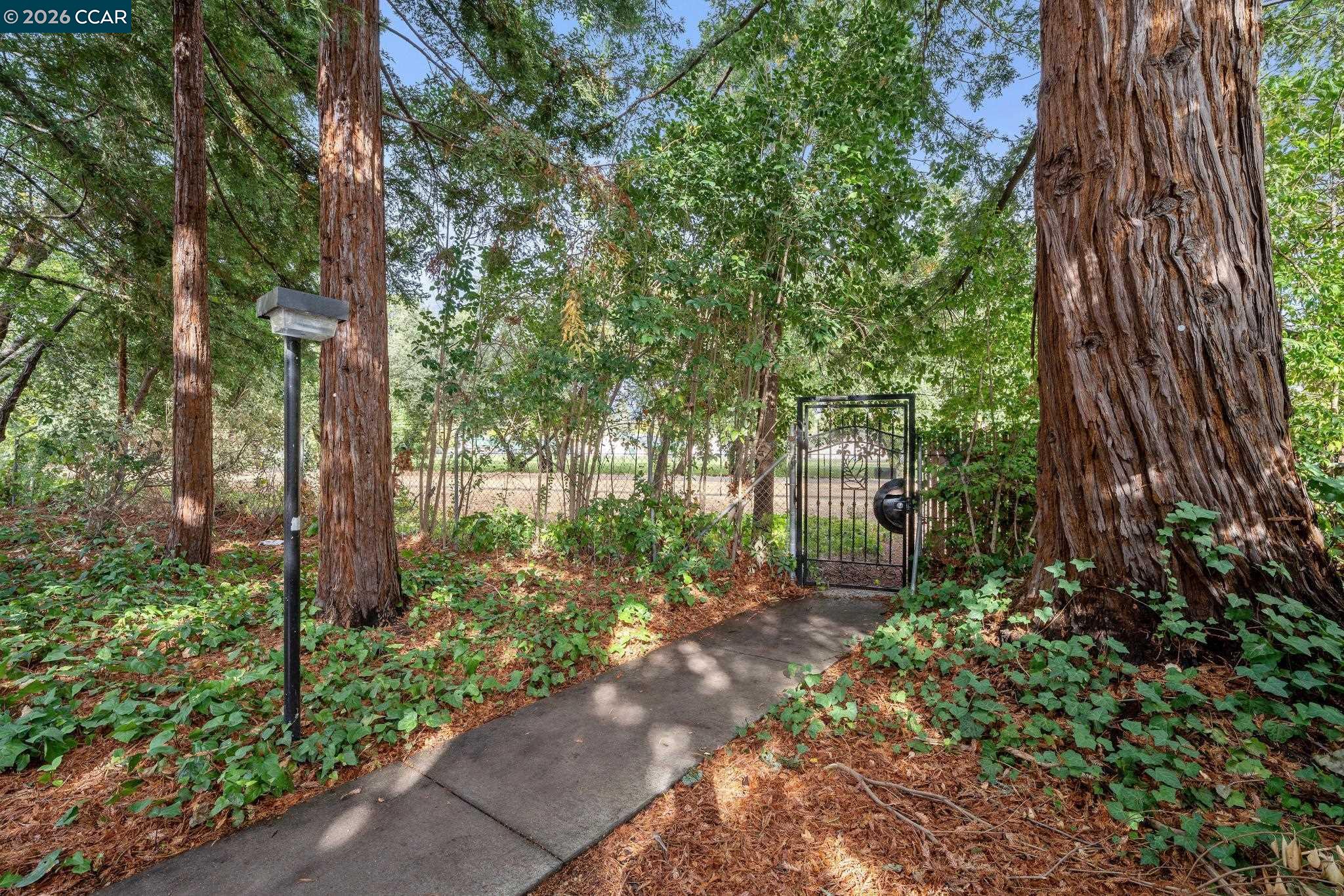 Photo #35: 41131897 Listing: Photo #35