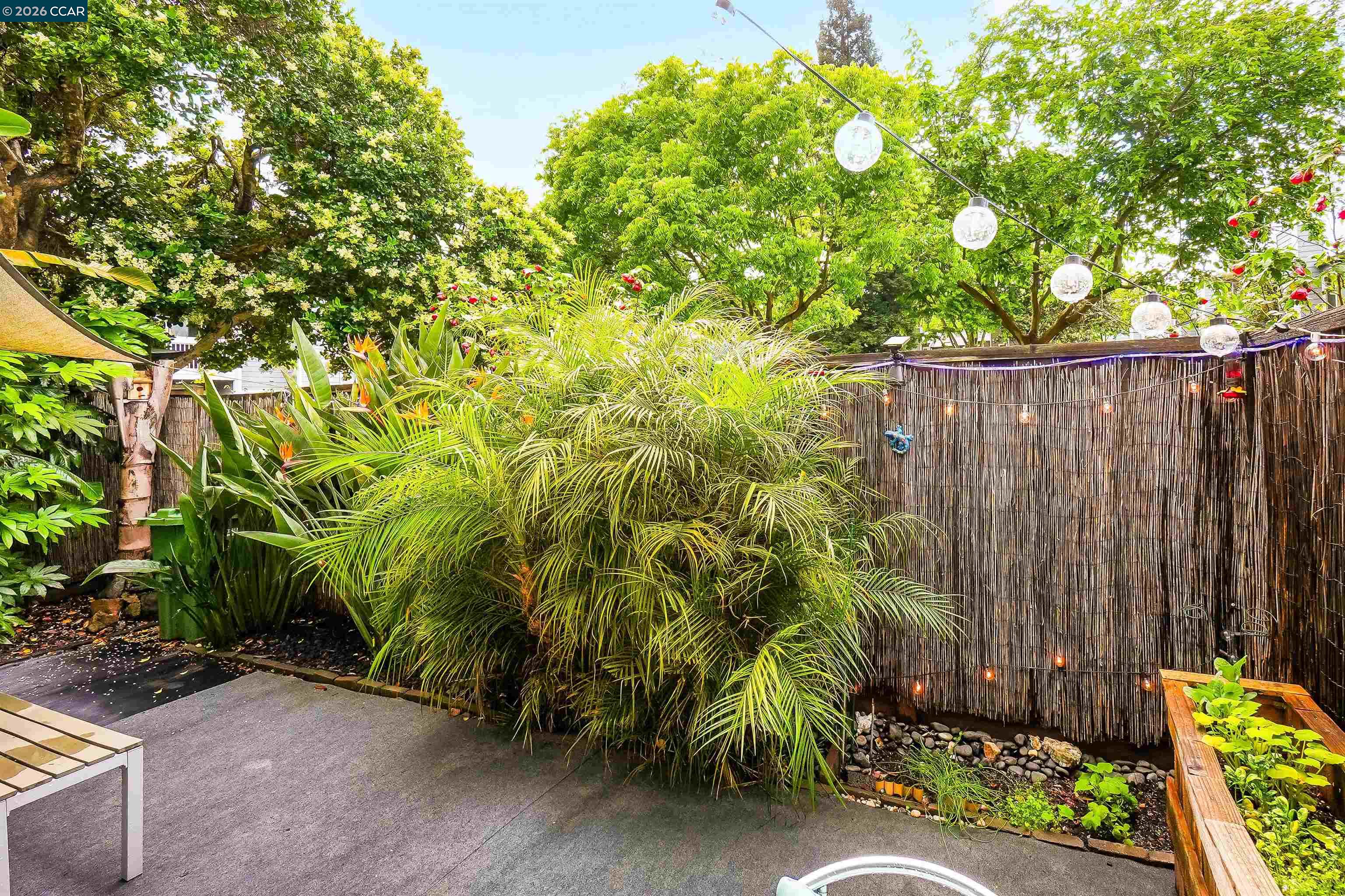 Photo #13: 41131924 Listing: Photo #13