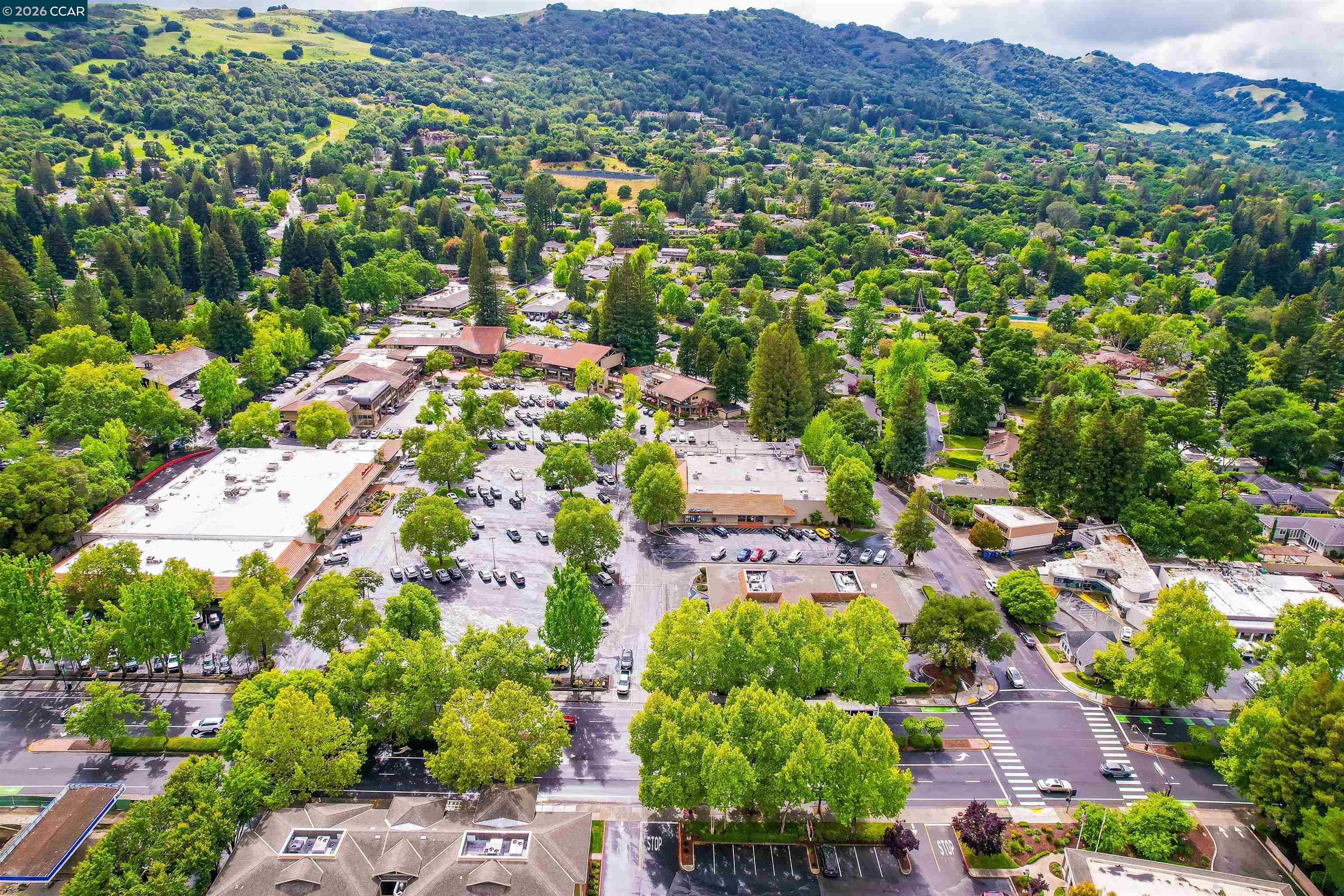 Photo #71: 41131924 Listing: Photo #71