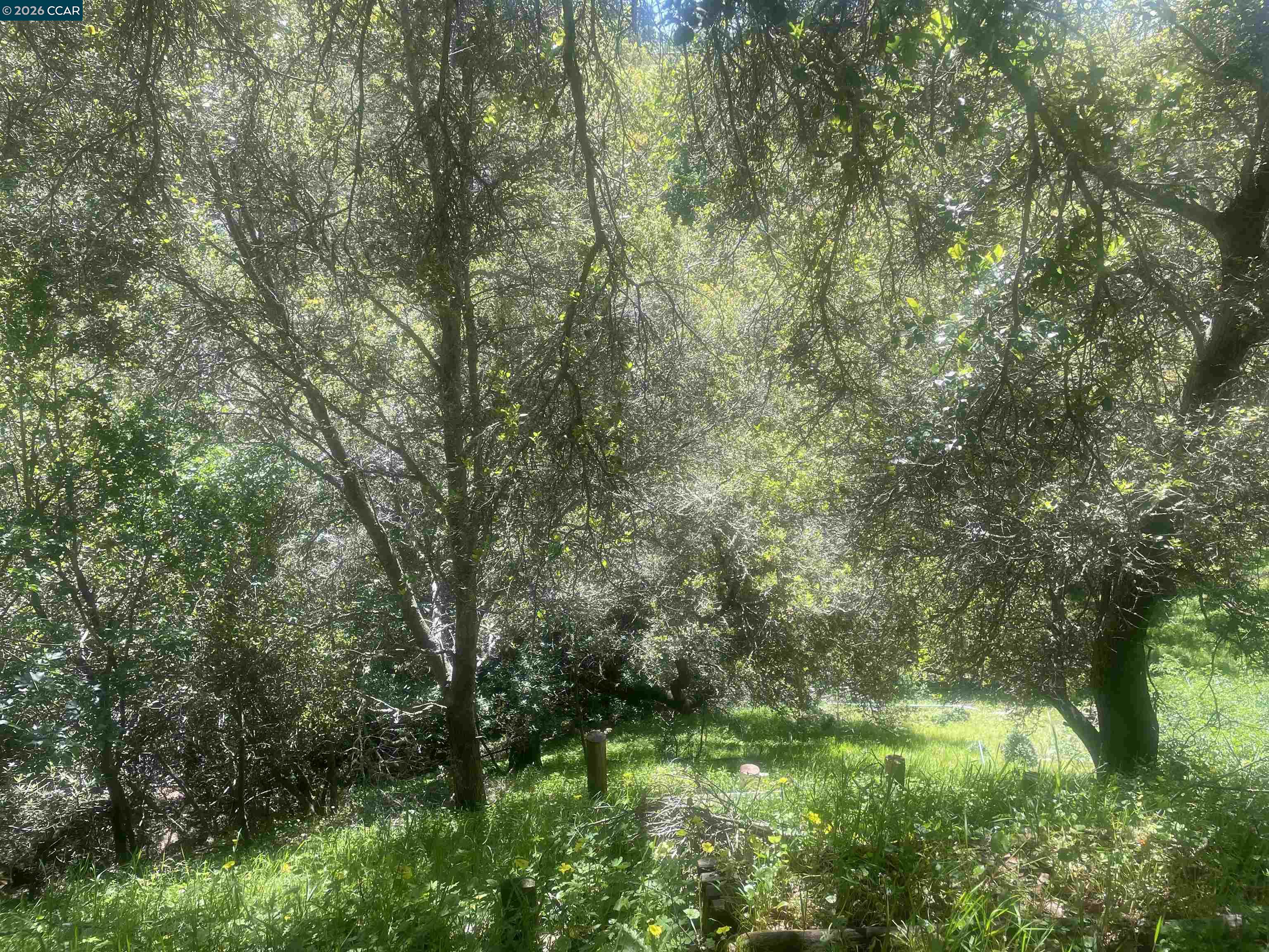 2 Charles Hill Cir, Orinda CA 94563 — photo 4